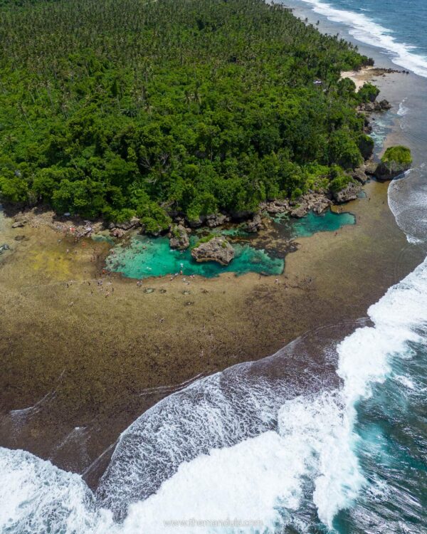 Coconut road Siargao - Complete Travel Guide