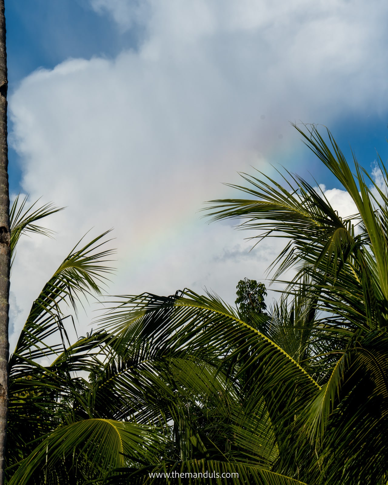 Philippines palms with rainbow