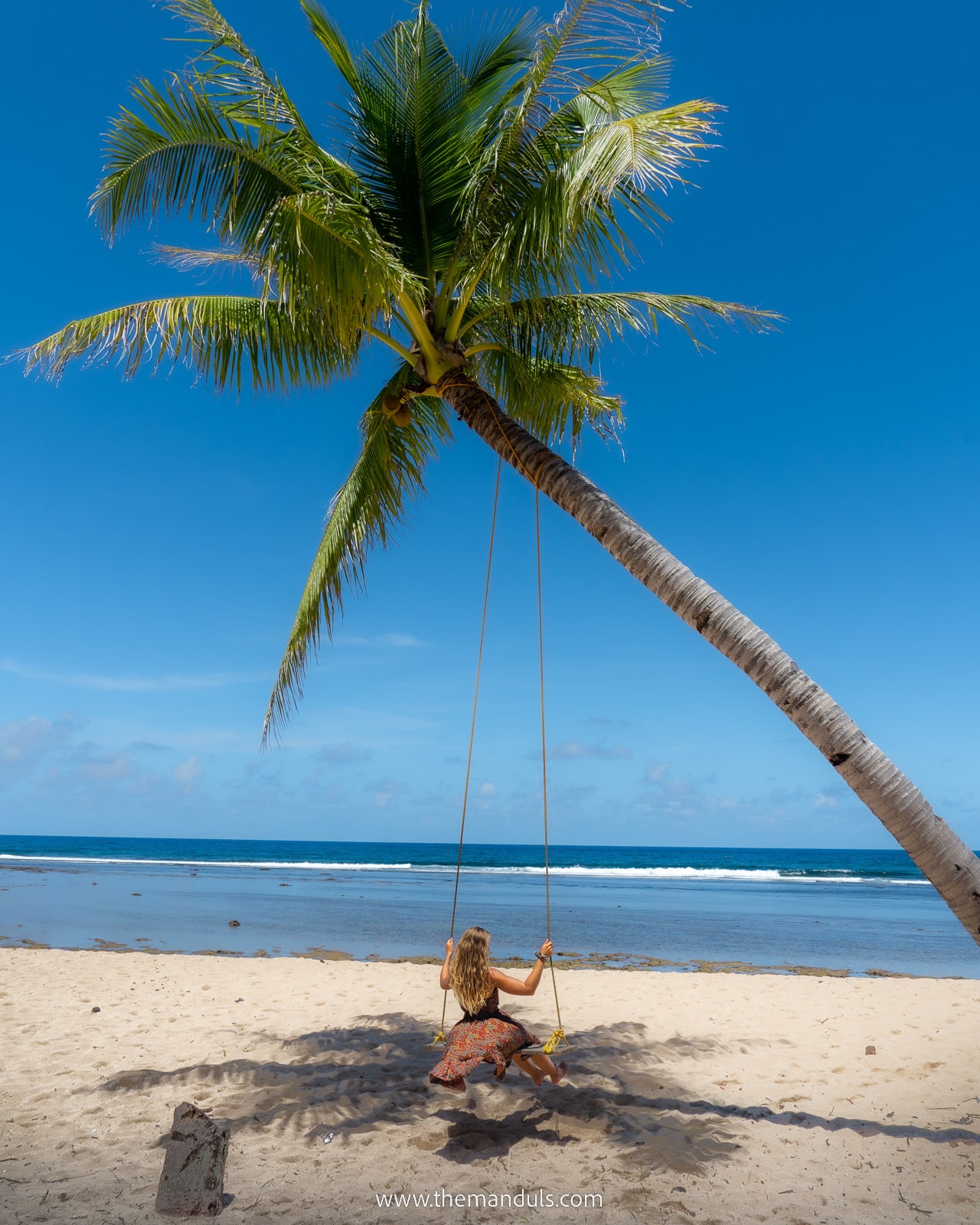 Pacifico beach palm swing