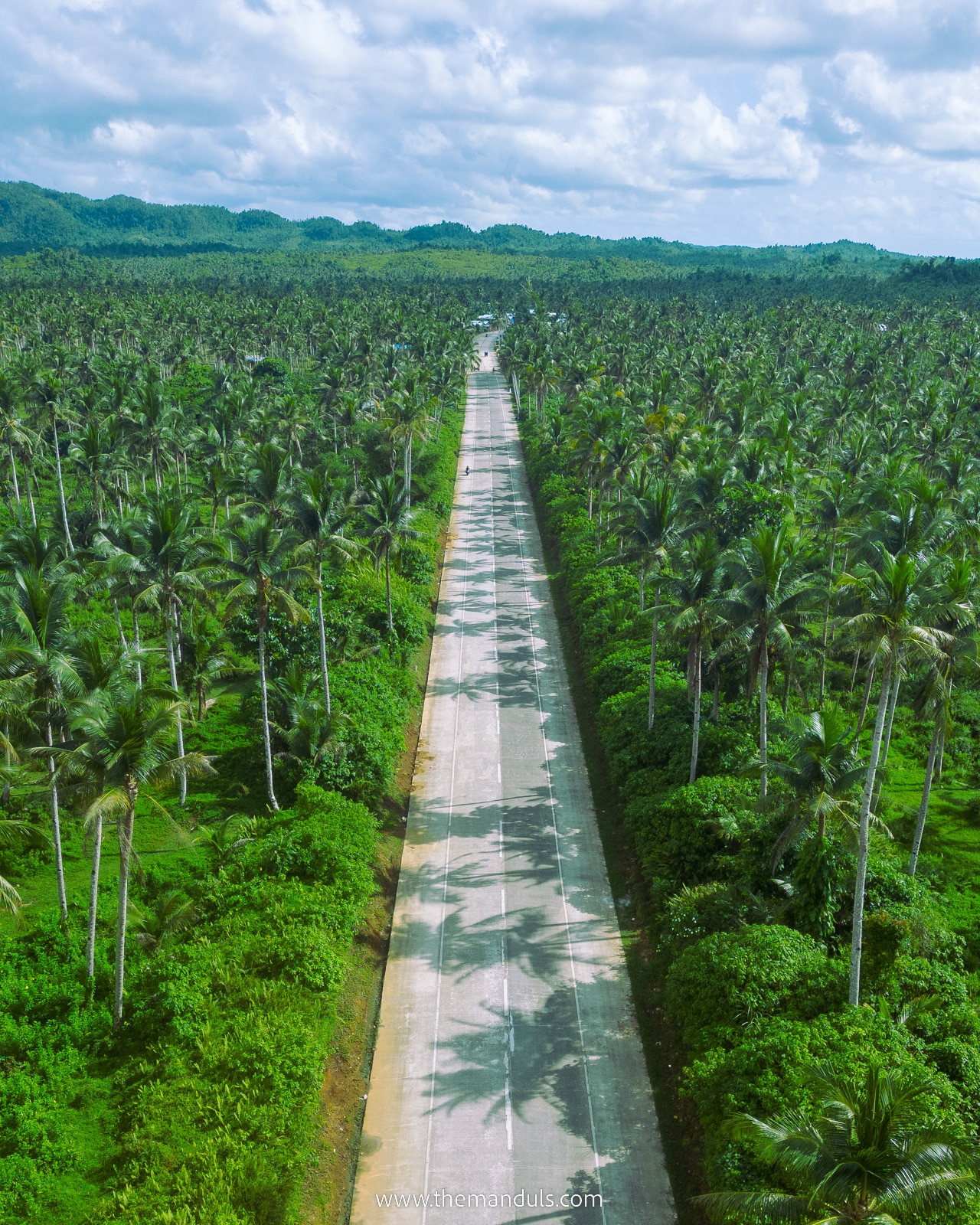 coconut road siargao drone