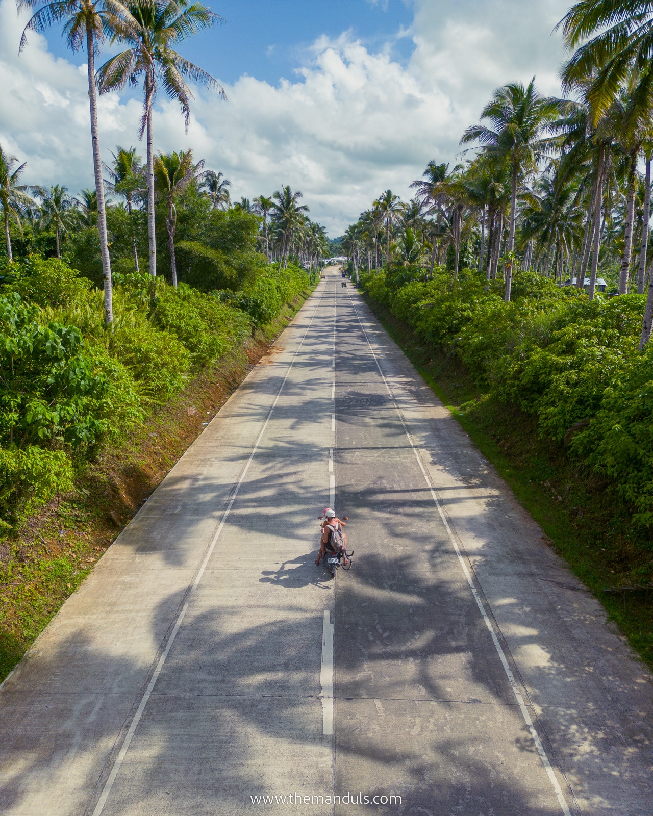 coconut road siargao on a motorbike, coconut road siargao complete guide, coconut palm tree road siargao, best attractions siargao, siargao tourist spots, things to do in siargao