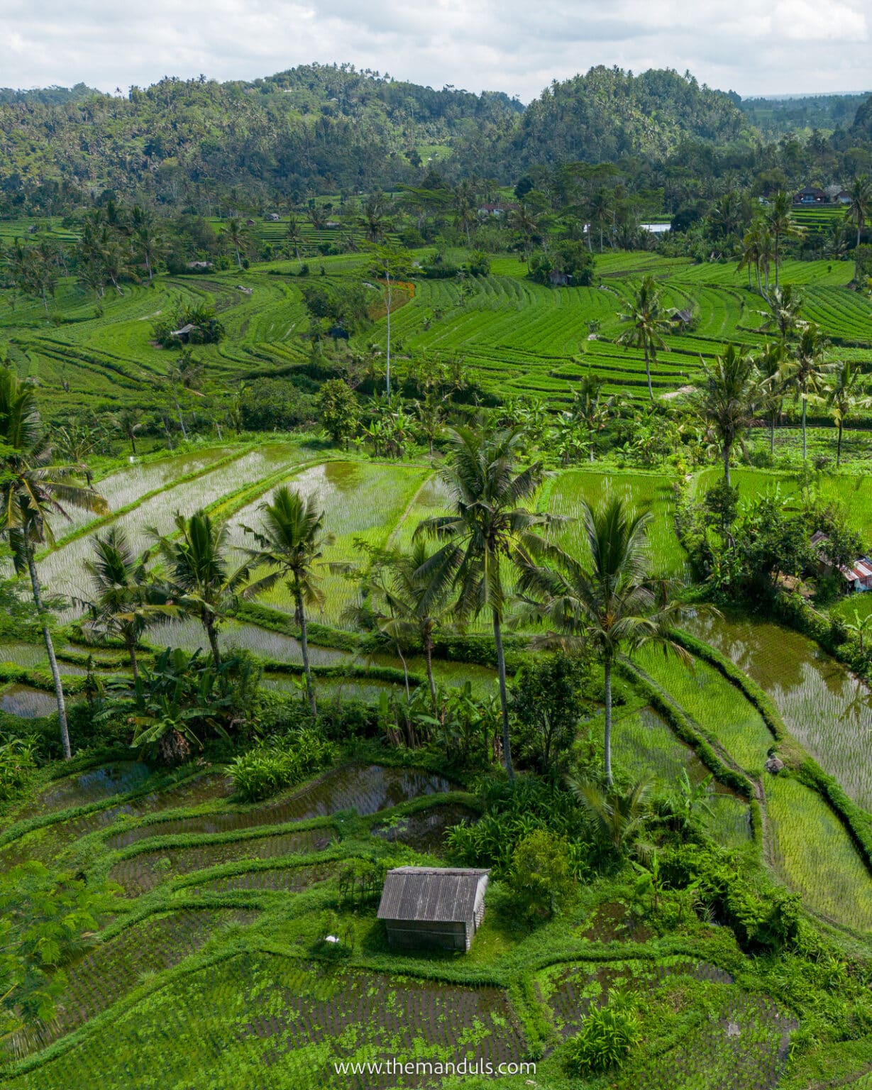 Sidemen rice terrace - hidden gem in East Bali