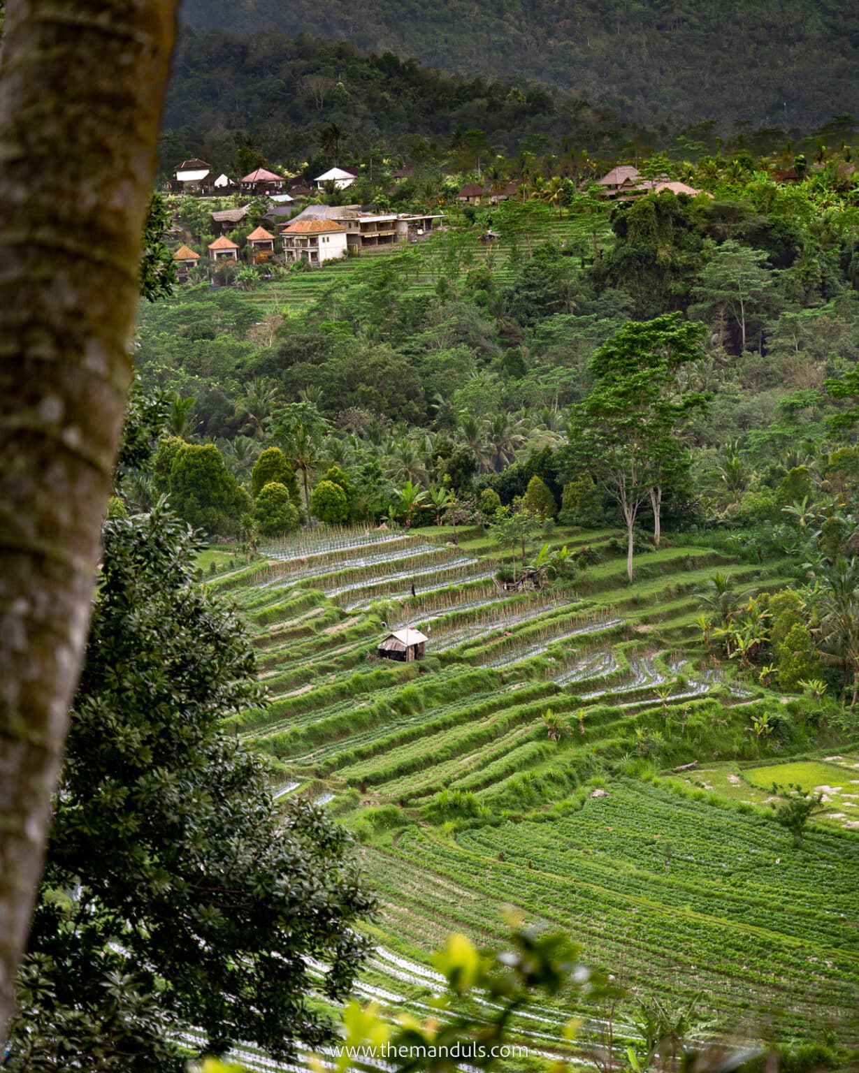 Sidemen rice terrace - hidden gem in East Bali