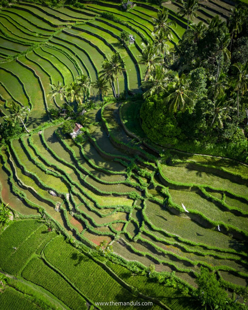 Sidemen rice terrace - hidden gem in East Bali