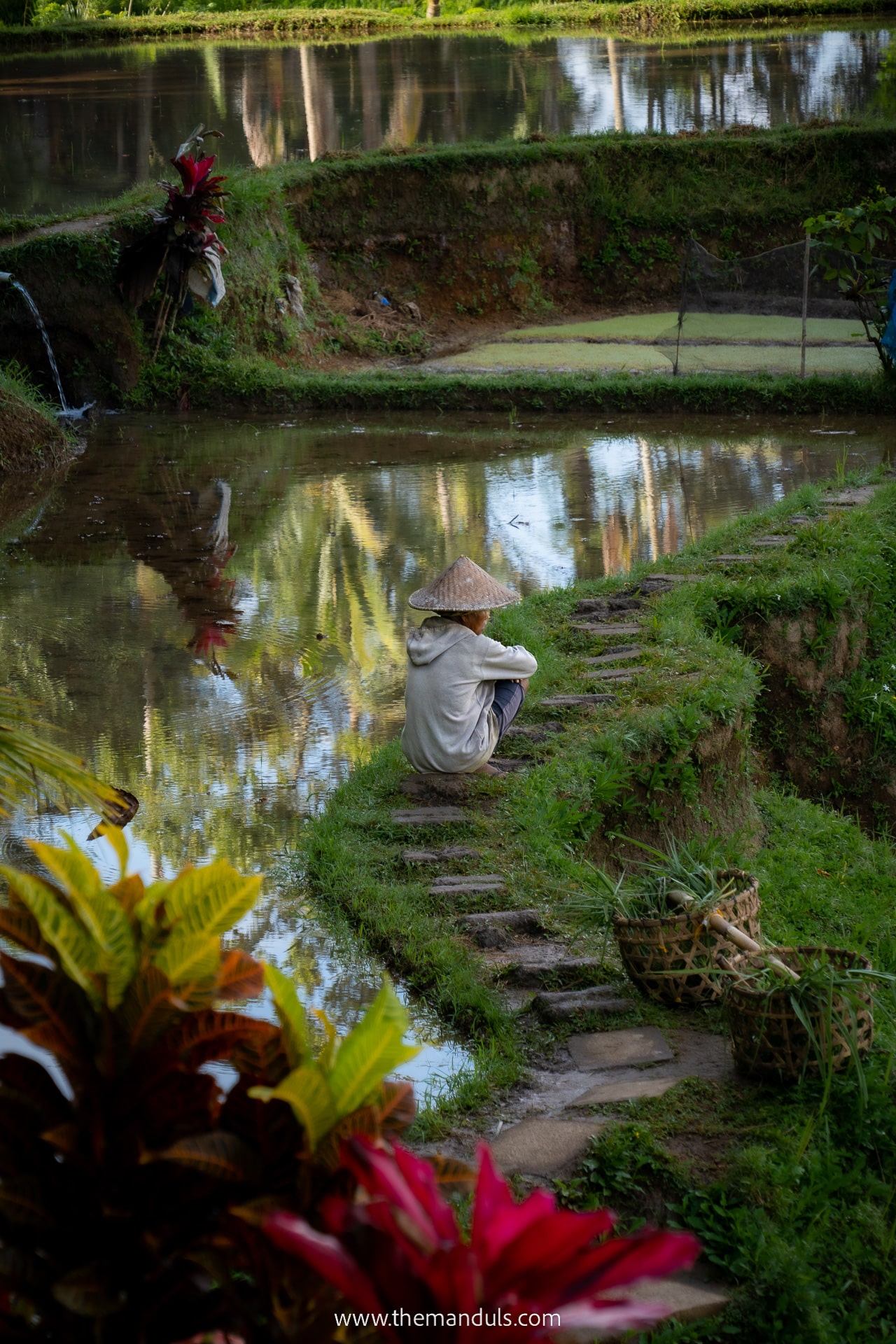 Tegallalang rice fields Ubud best things to do in ubud best things to do bali best attractions