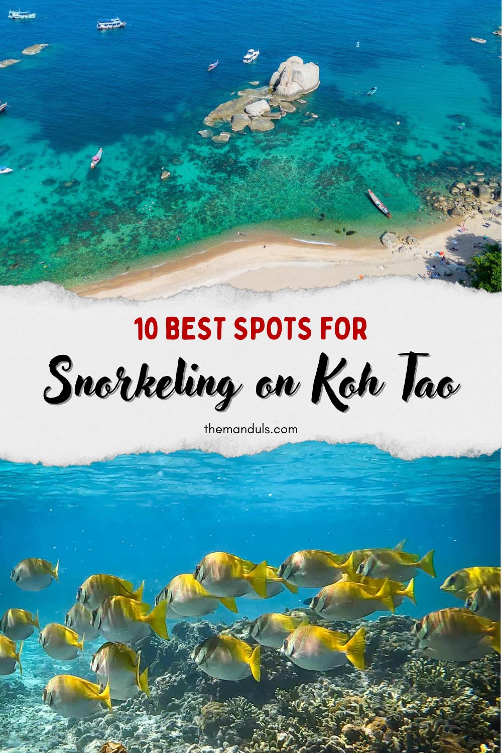 Best Koh Tao snorkeling spots Pinterest