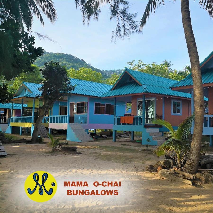 Mama o Chai Bungalow Best hotels on Koh Tao Sairee Beach low budget