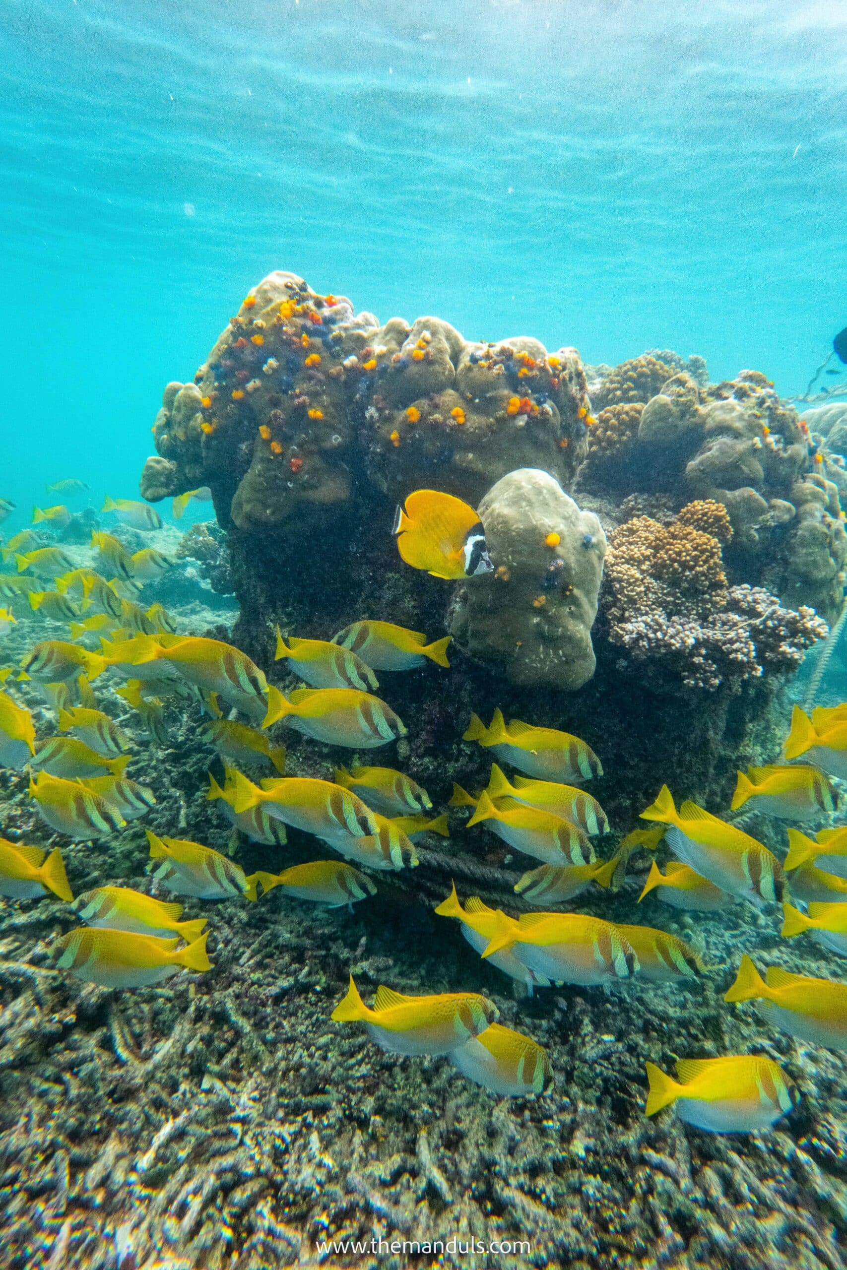 Snorkeling