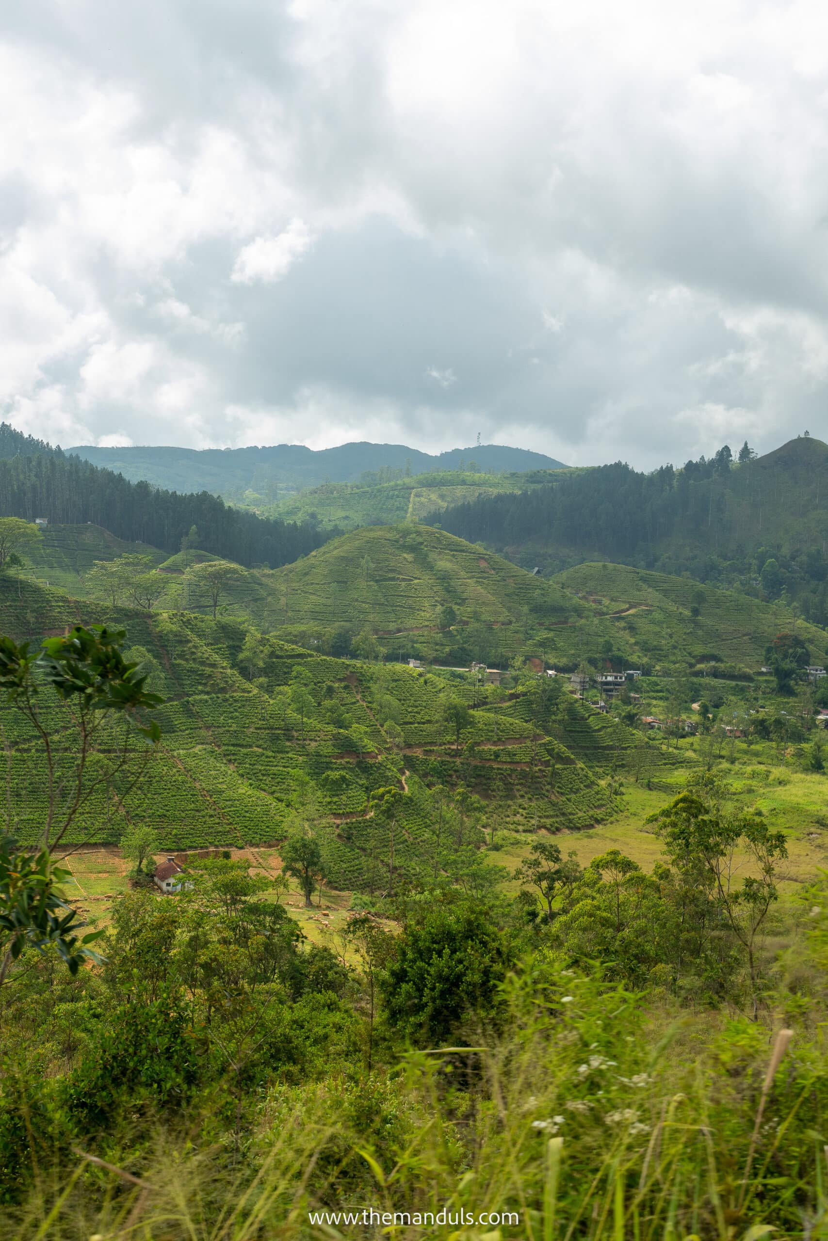 Kandy to Ella train Sri Lanka train ride open door