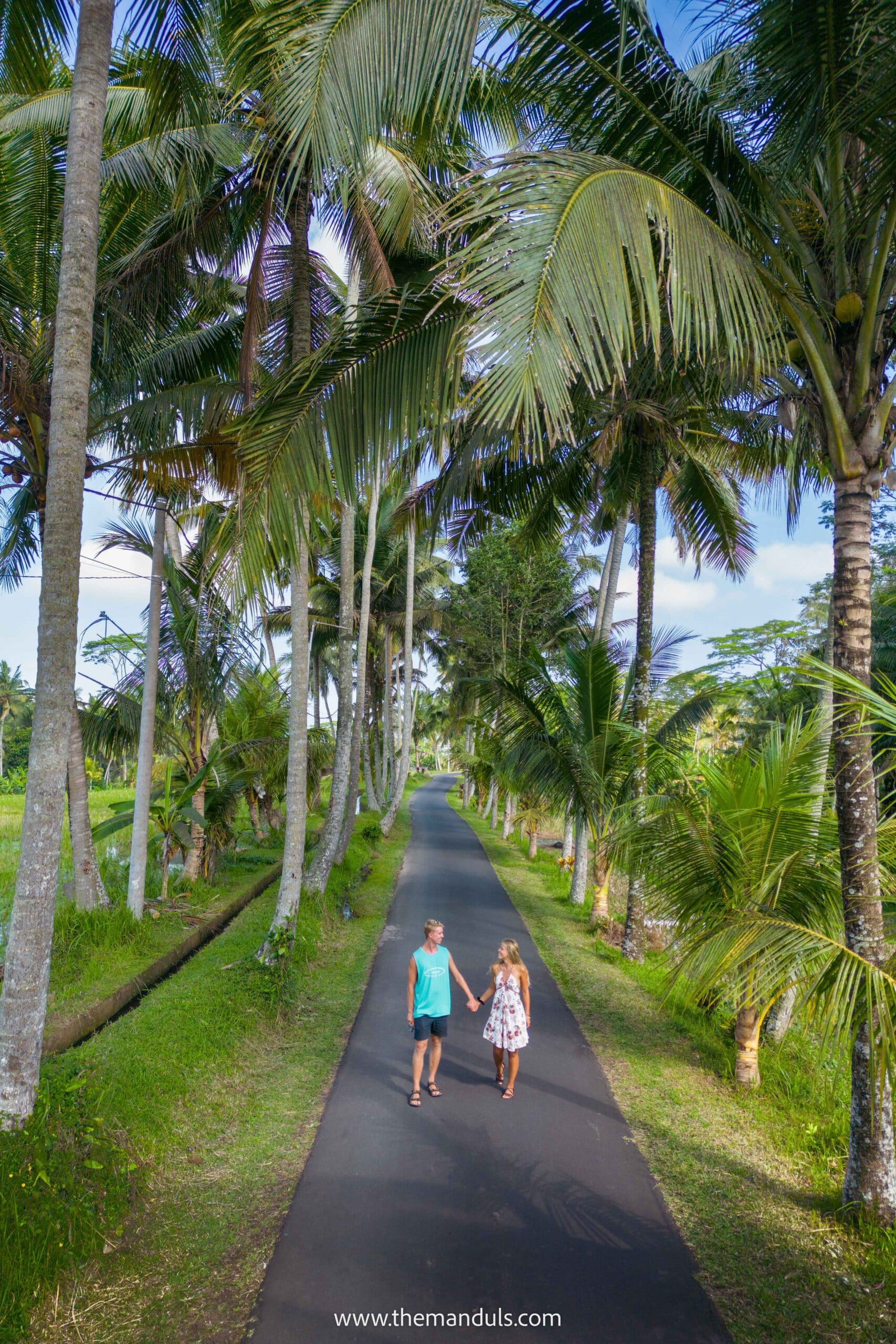 Adillas spot Ubud Bali palm tree road bali things to do in ubud best attractions ubud best places to visit