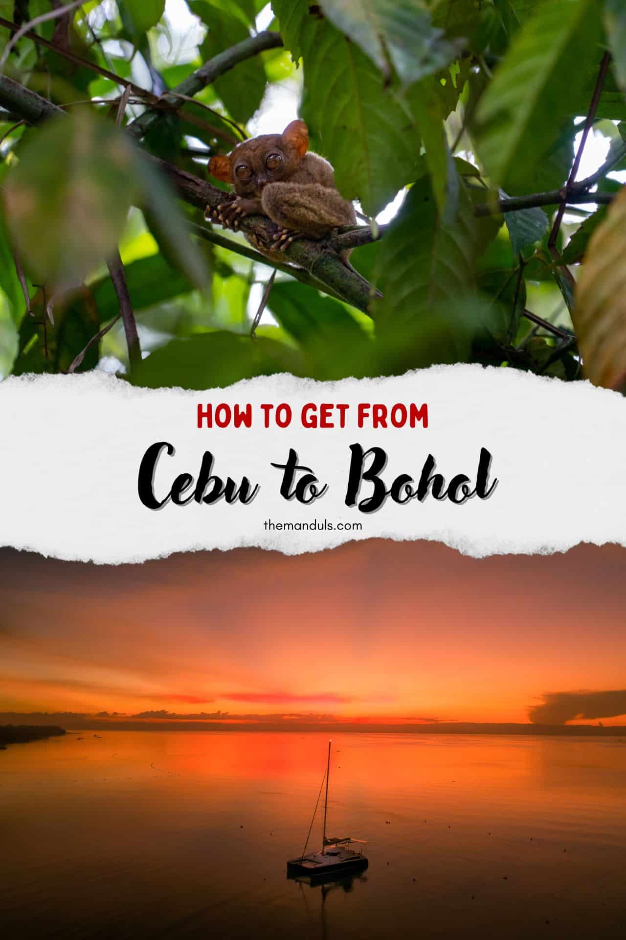 Cebu to Bohol Pinterest