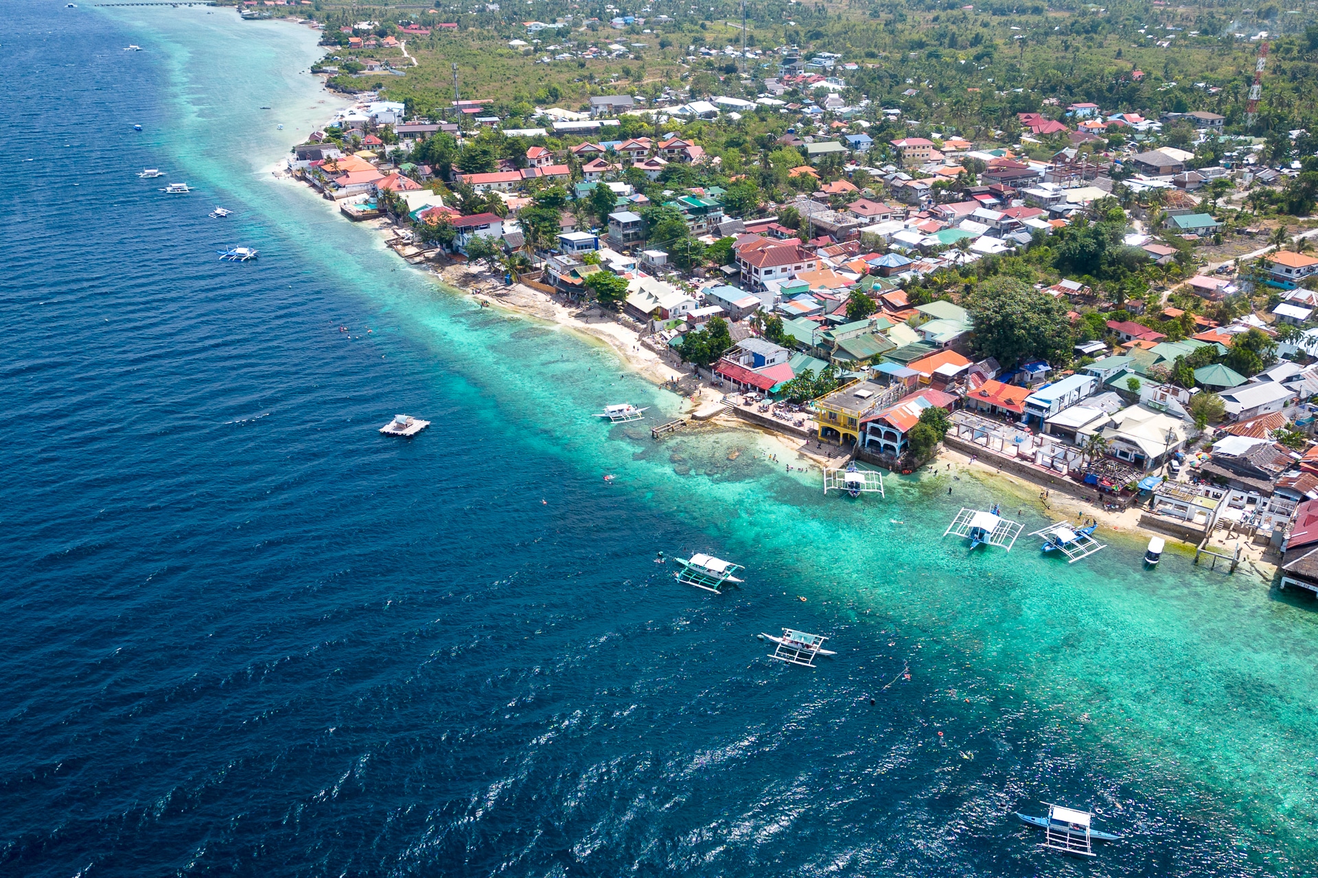 Panagsama Beach Moalboal Cebu Sardine Run