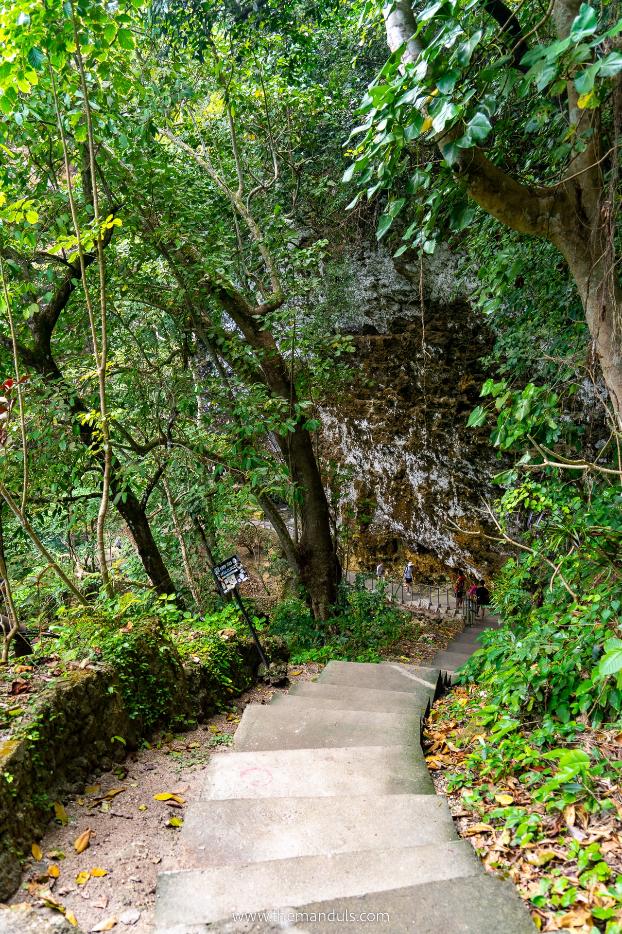 Tembeling Forest