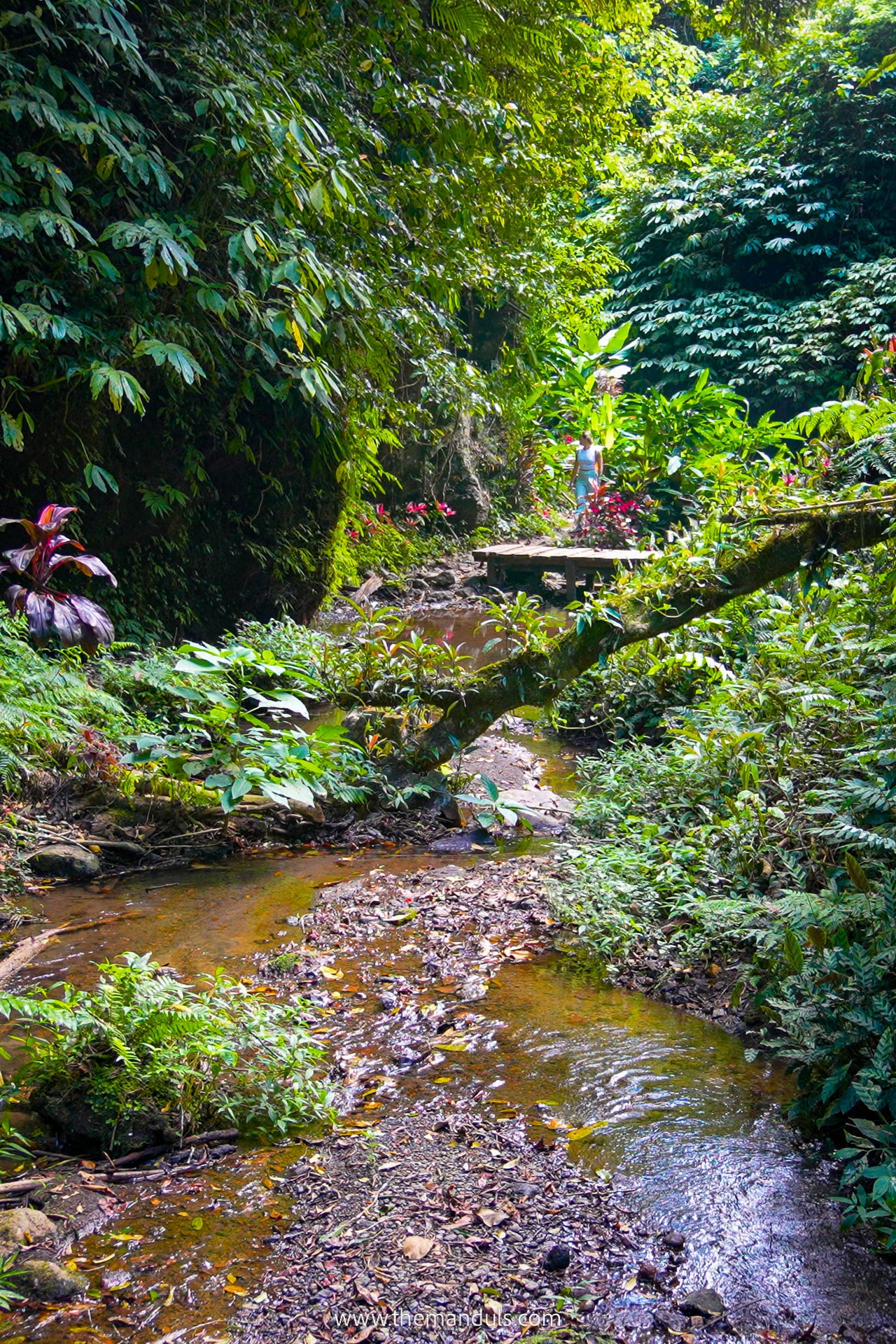Banyuwana Amertha Waterfall Bali 4 Banyu Wana Amertha Waterfall Bali