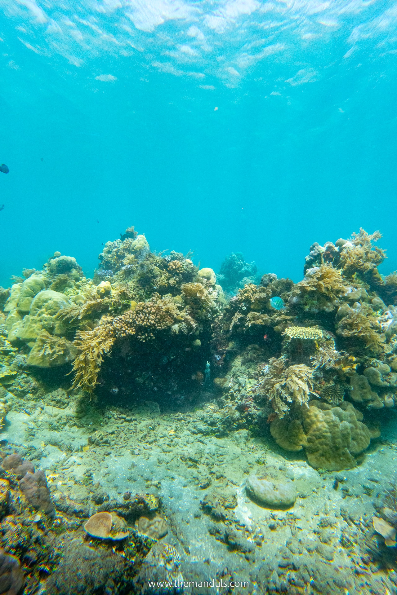 Best Beaches in Amed