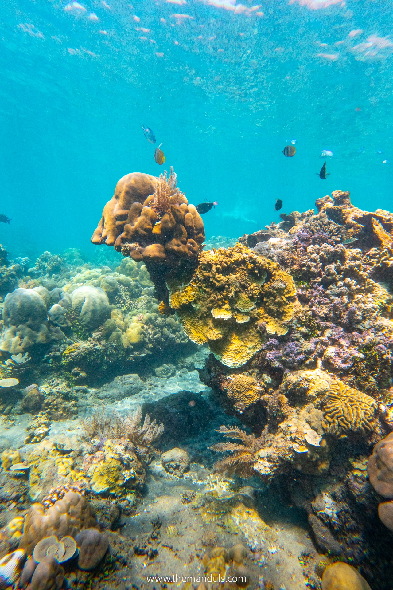Best Beaches in Amed