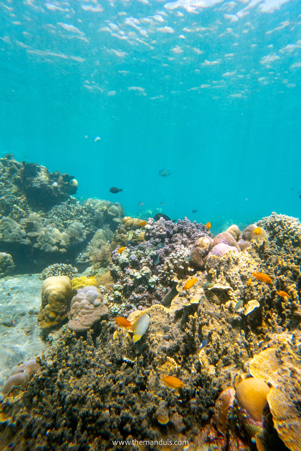 Best Beaches in Amed - Amed Beach