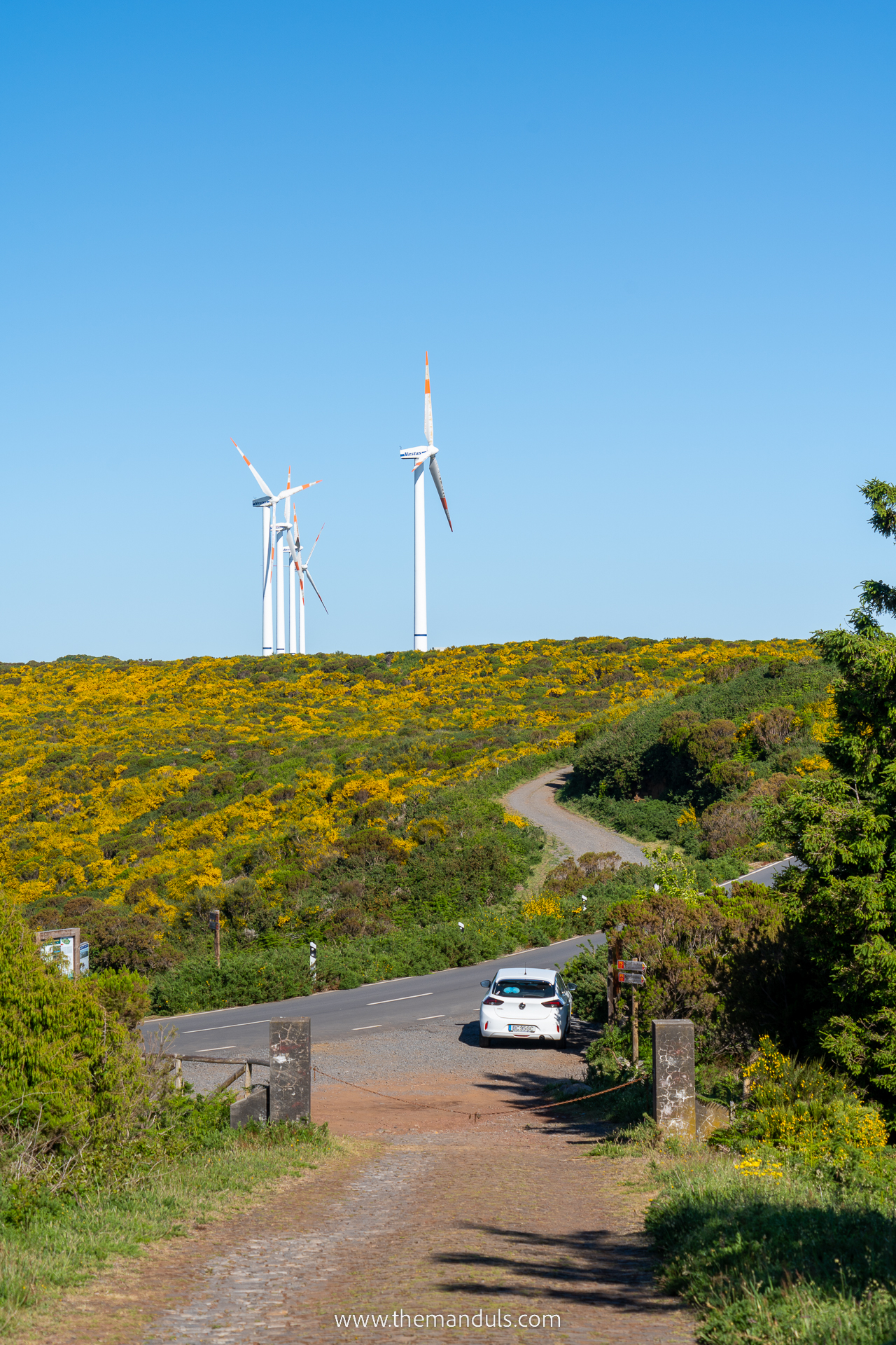 Bica do Cana parking a road in Madeira with a rental car on it and a field of flowers with windmills in the background