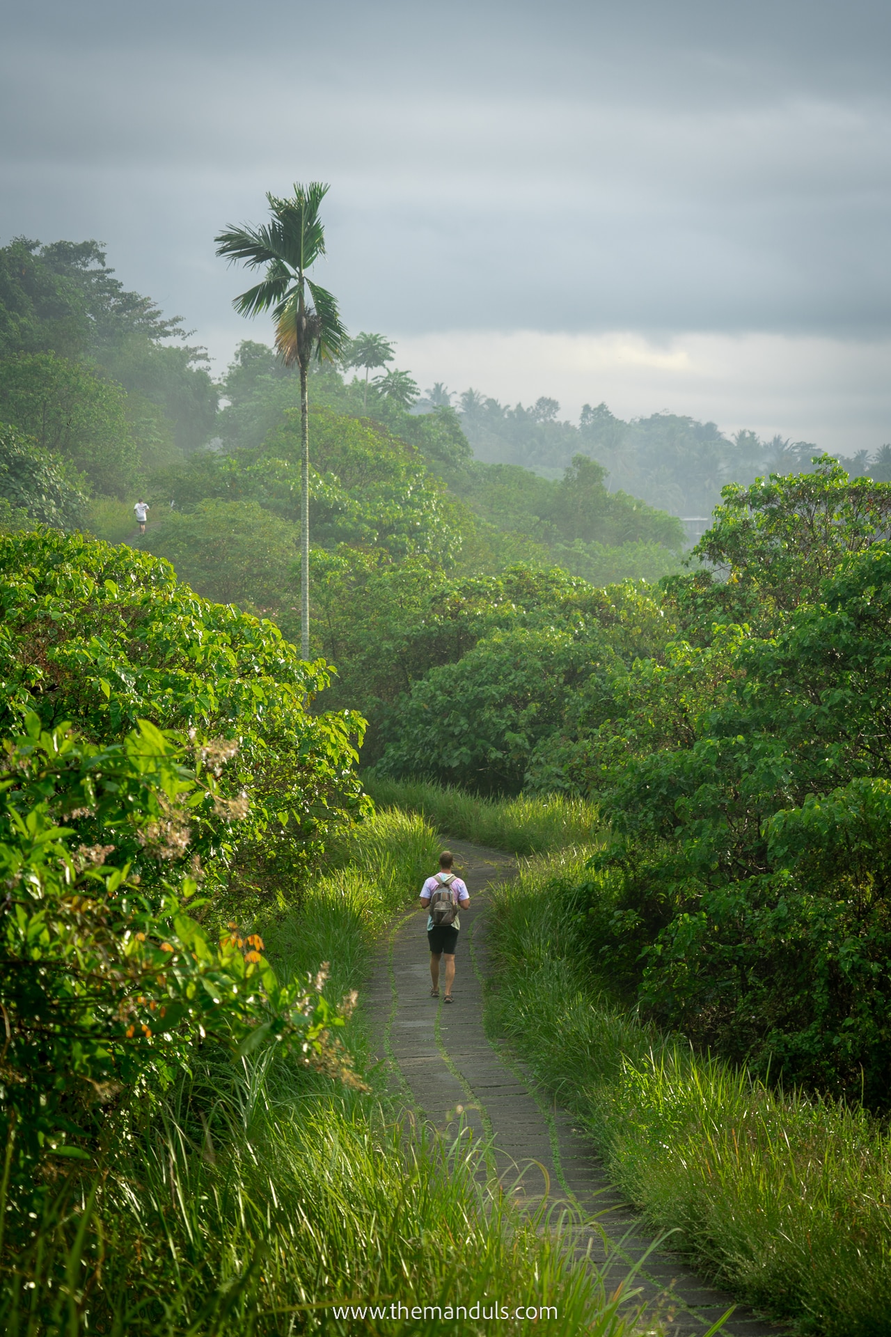 Campuhan Ridge Walk