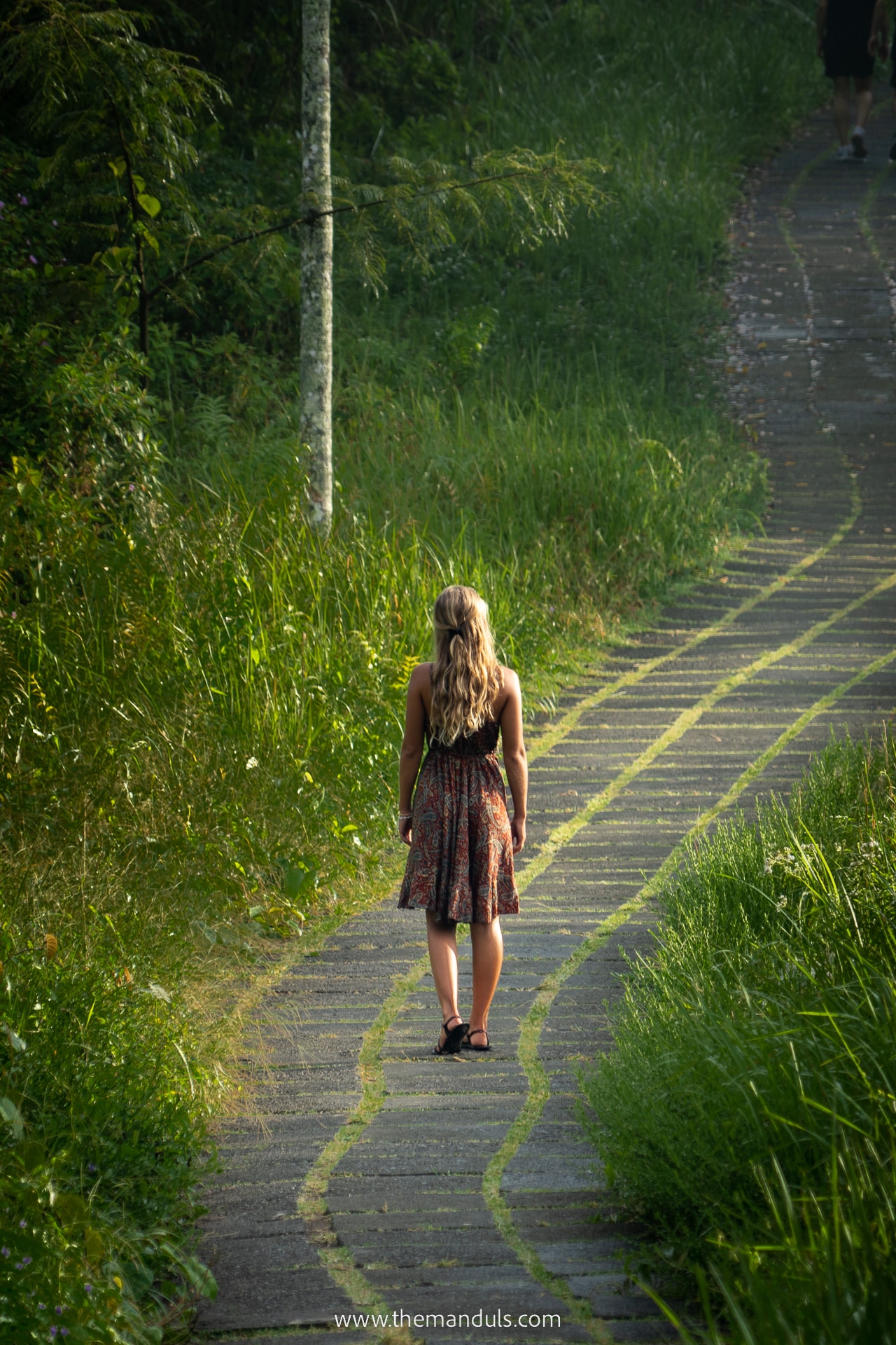 Campuhan Ridge Walk