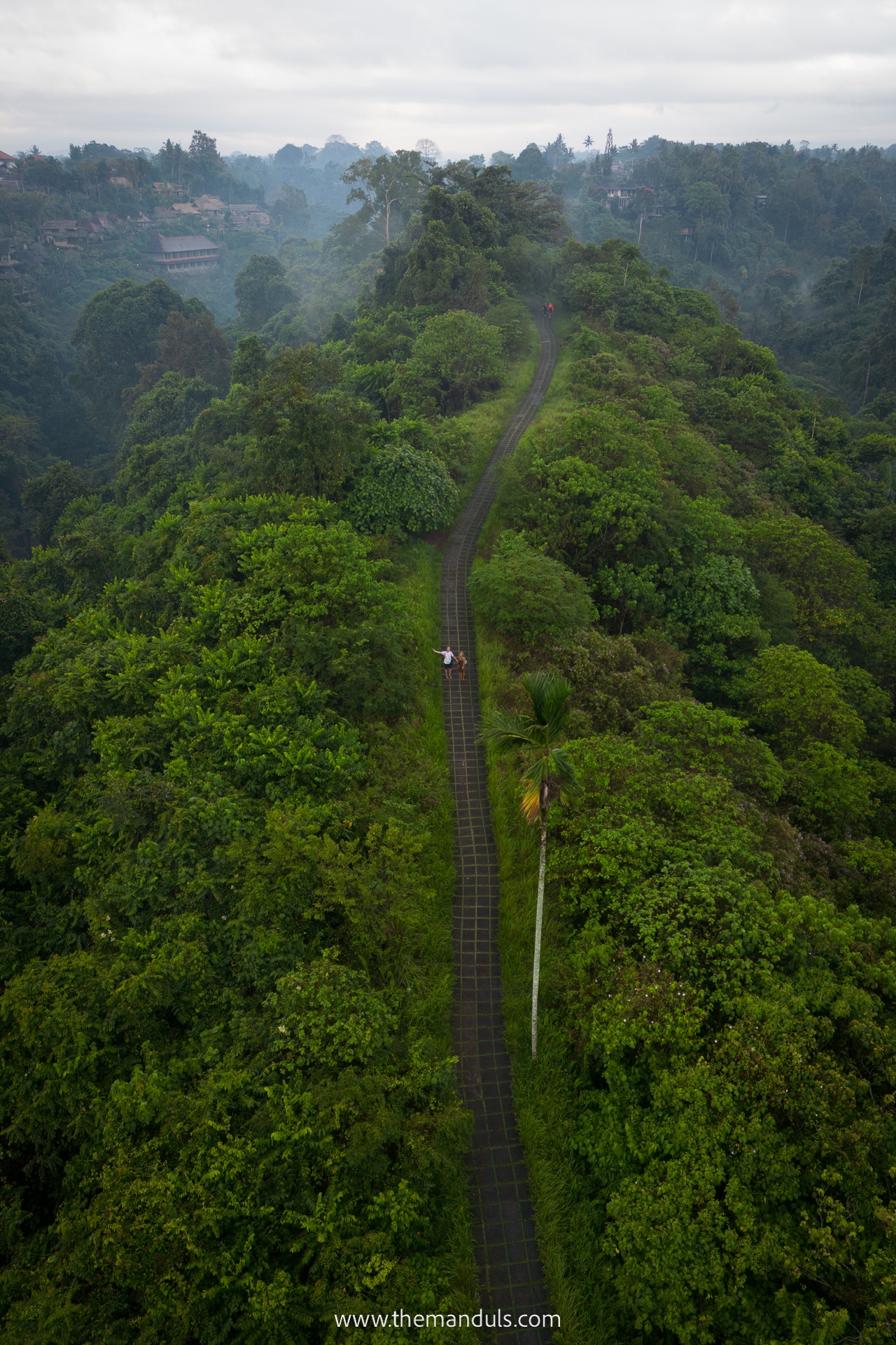 Campuhan Ridge Walk