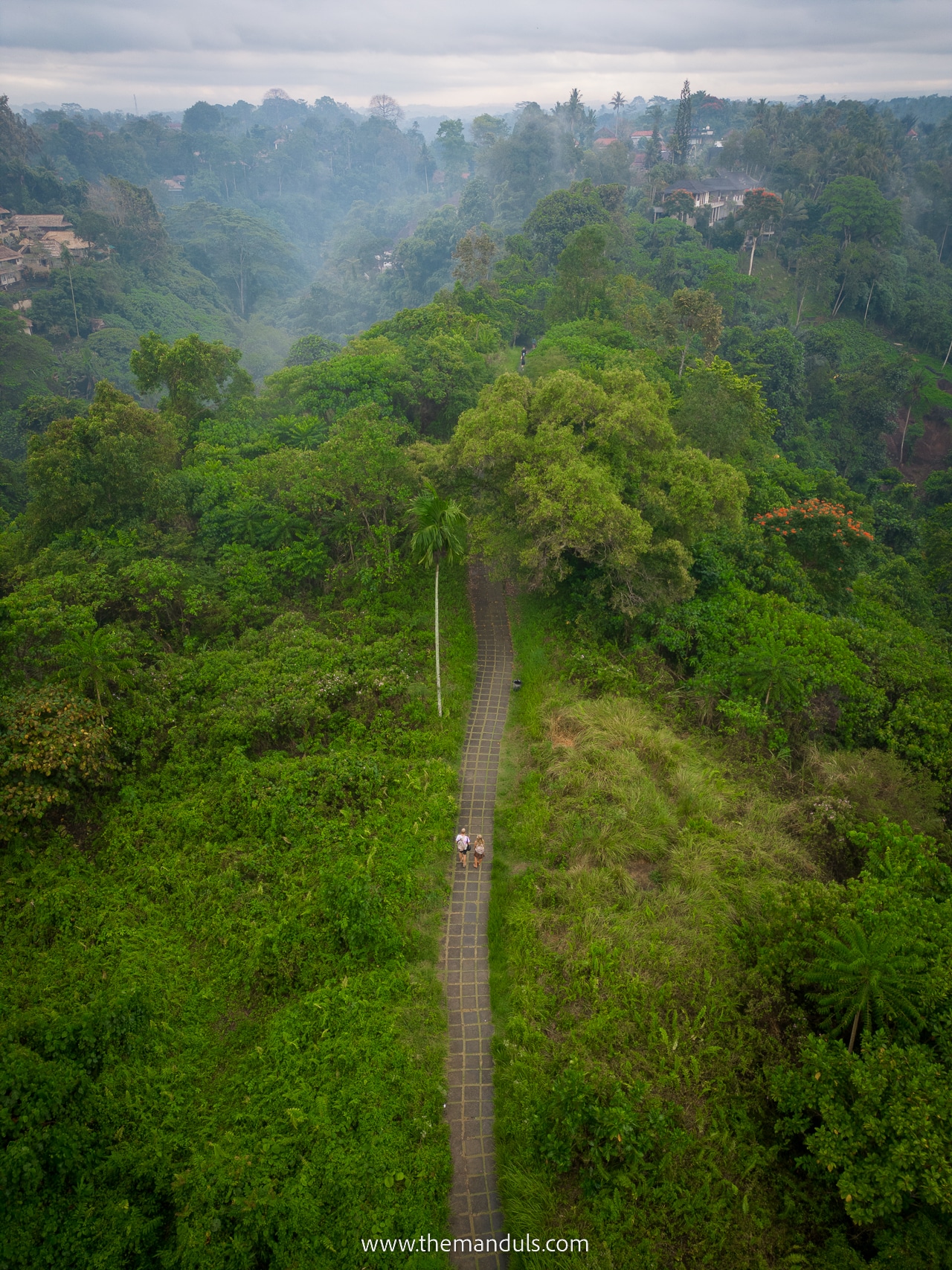 Campuhan Ridge Walk