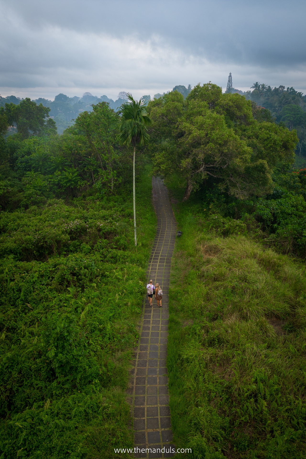 Campuhan Ridge Walk