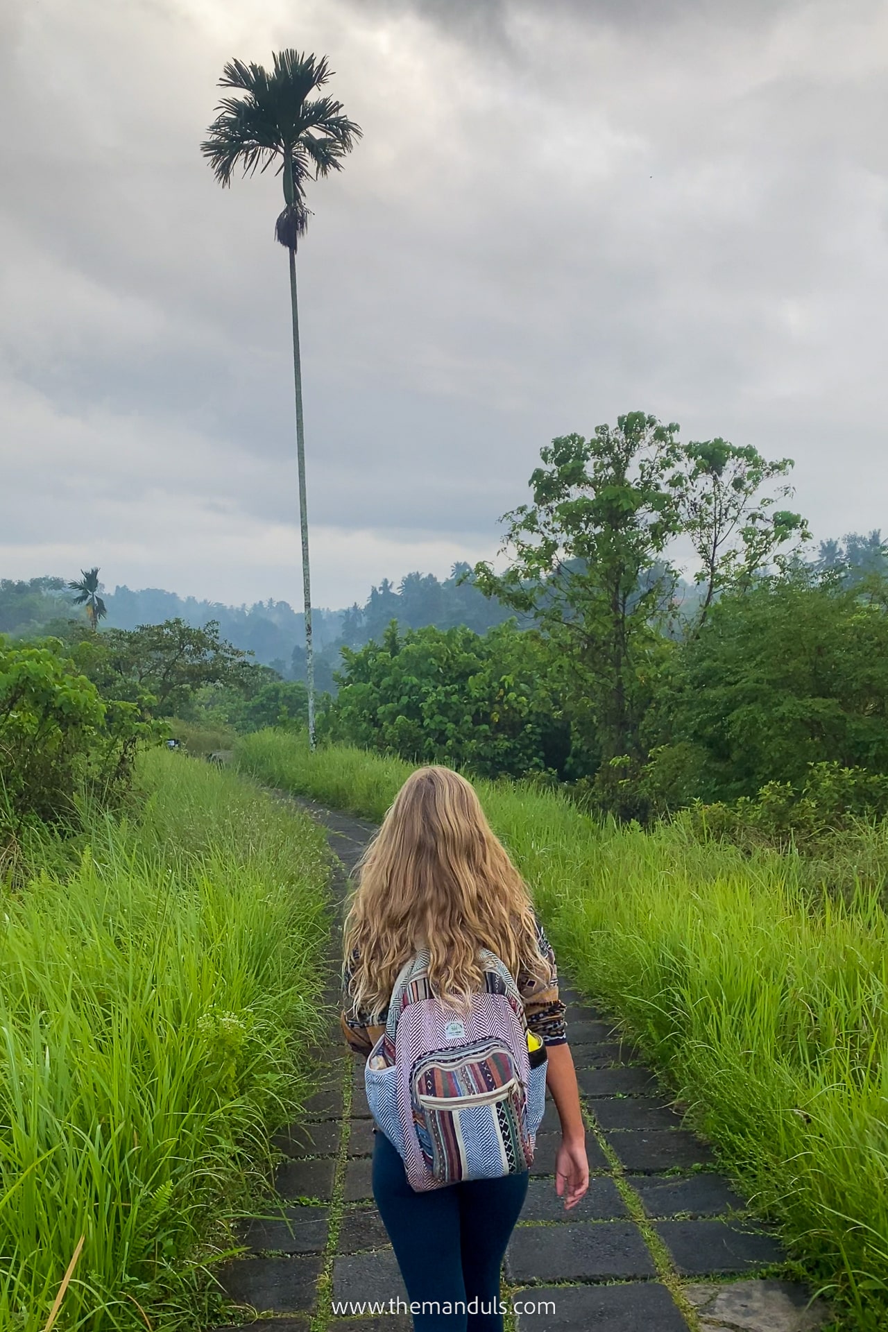 Campuhan Ridge Walk