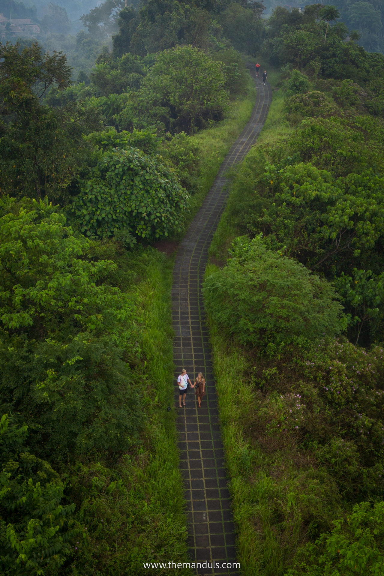 Campuhan Ridge Walk