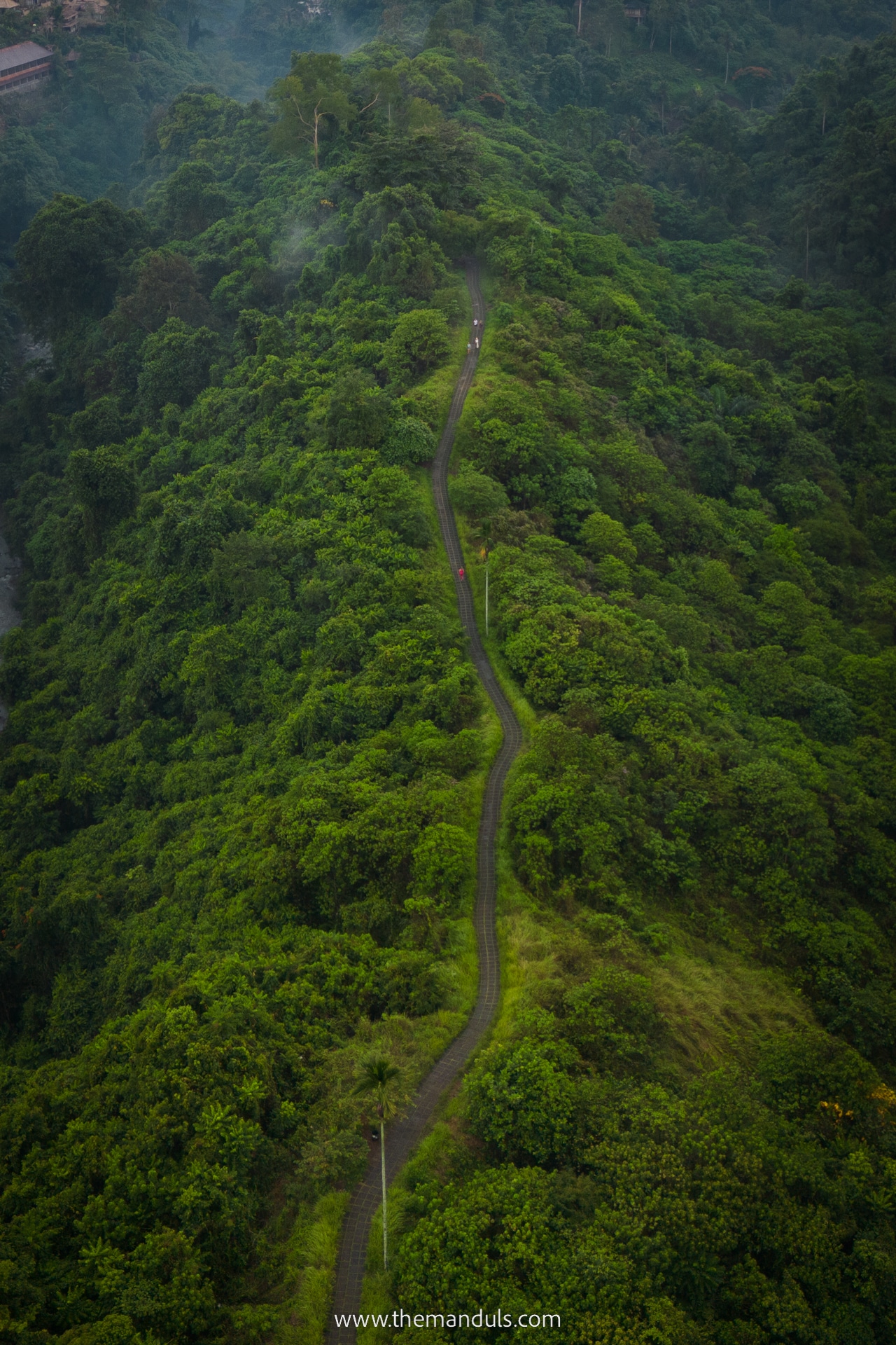 Campuhan Ridge Walk