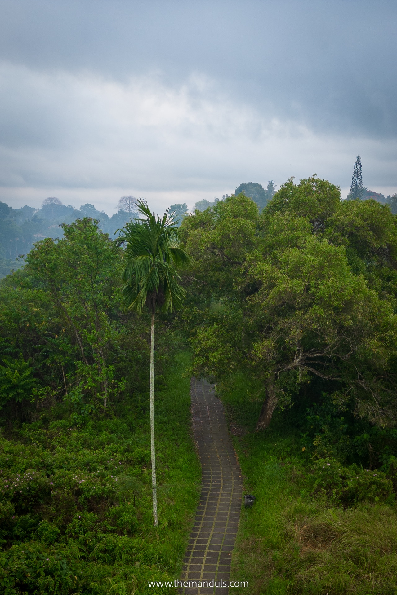Campuhan Ridge Walk