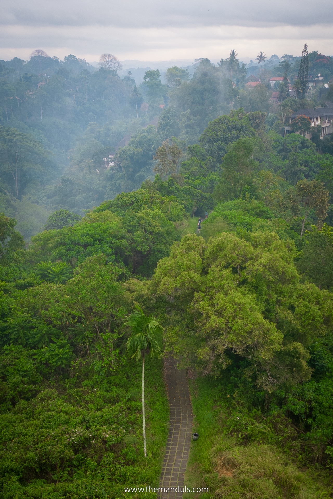 Campuhan Ridge Walk