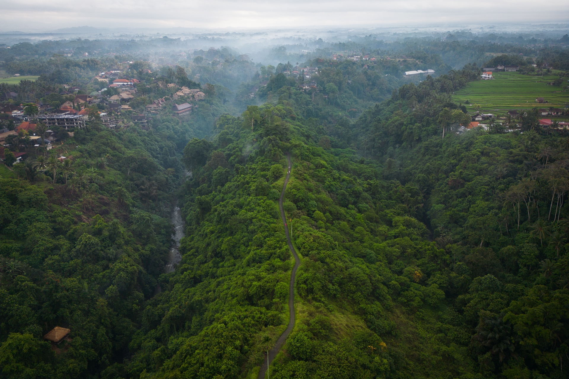 Campuhan Ridge Walk