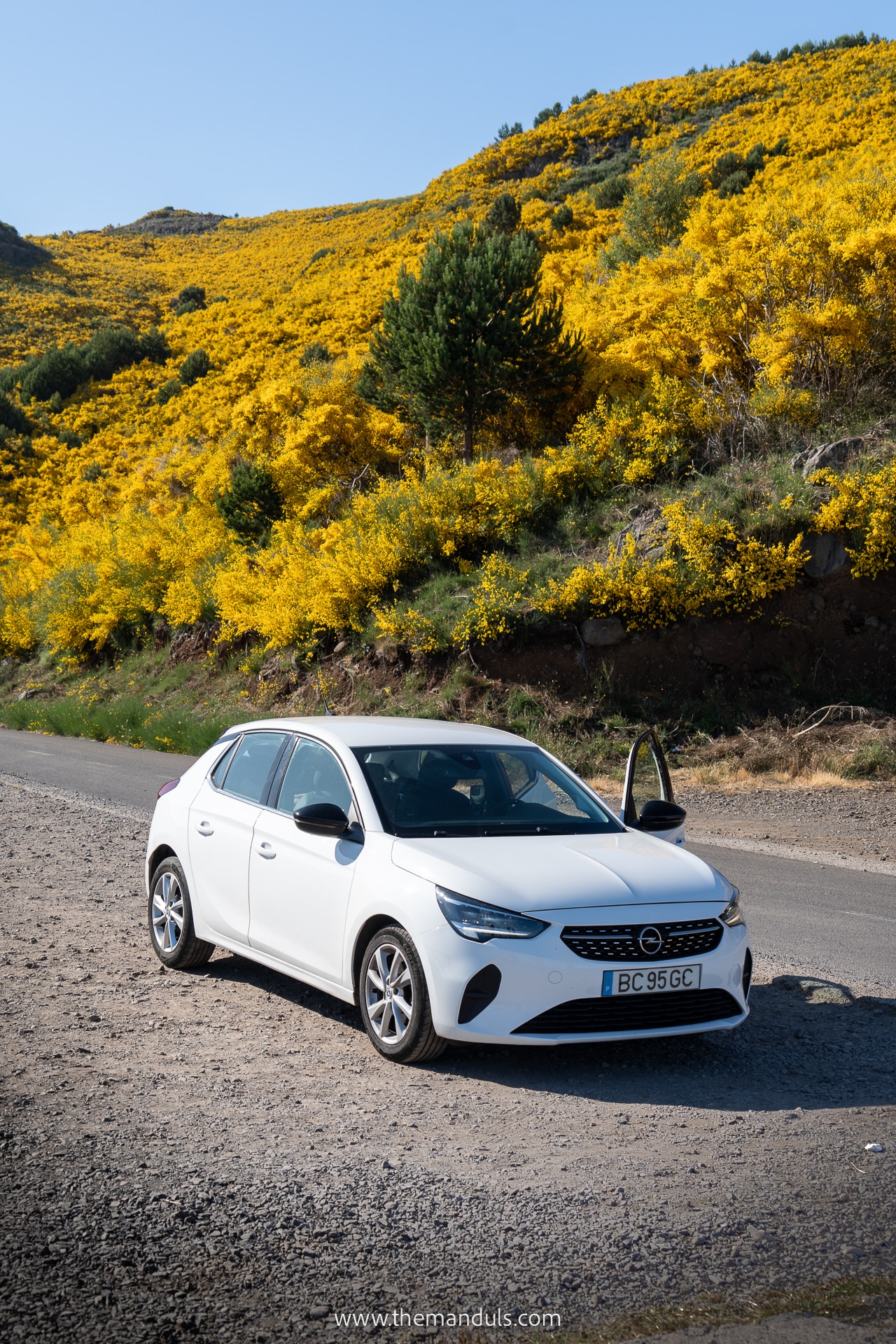 Car rental Madeira a white car on a road with yellow flowers