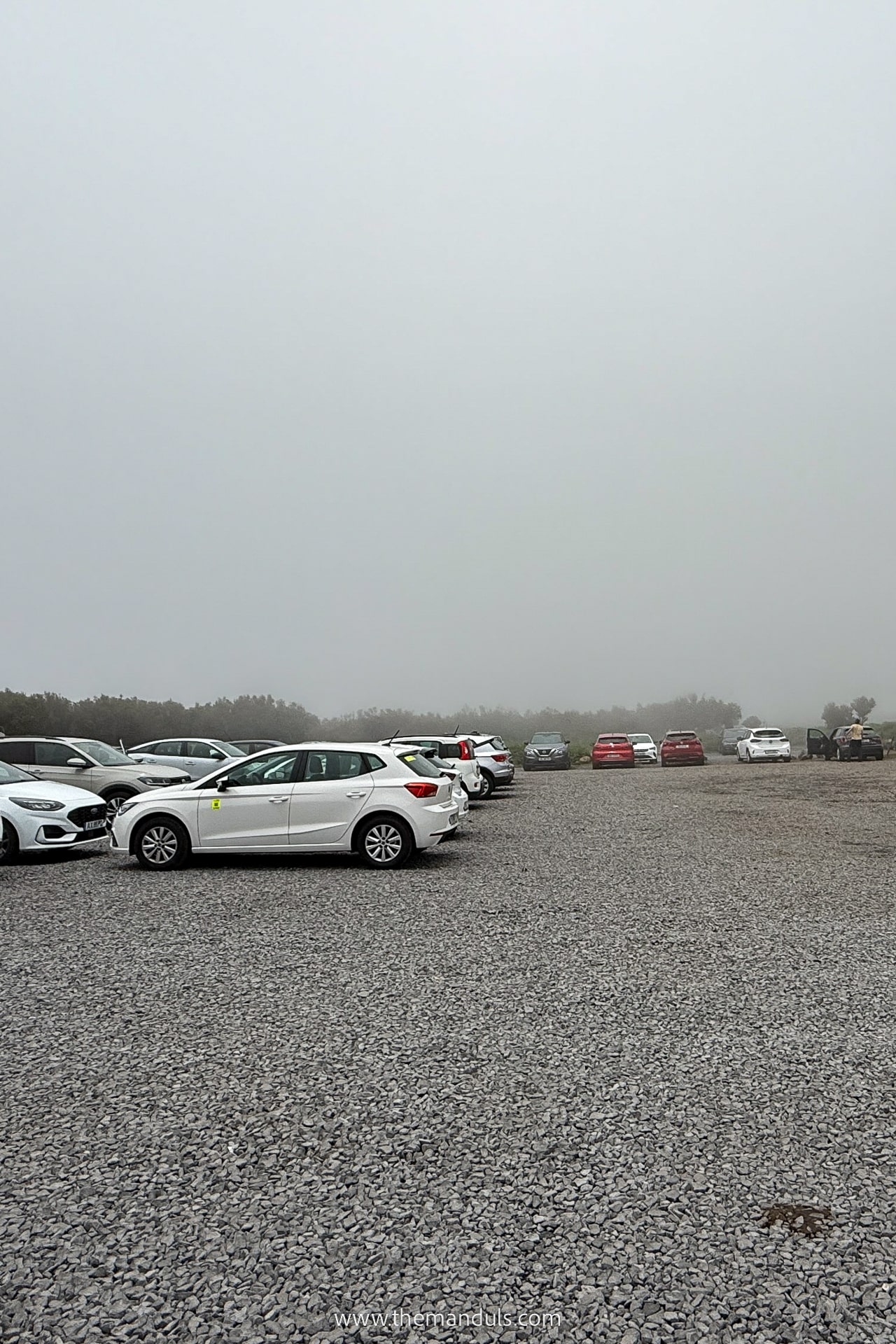 Fanal Forest Madeira 13 Fanal Forest Madeira Parking lot