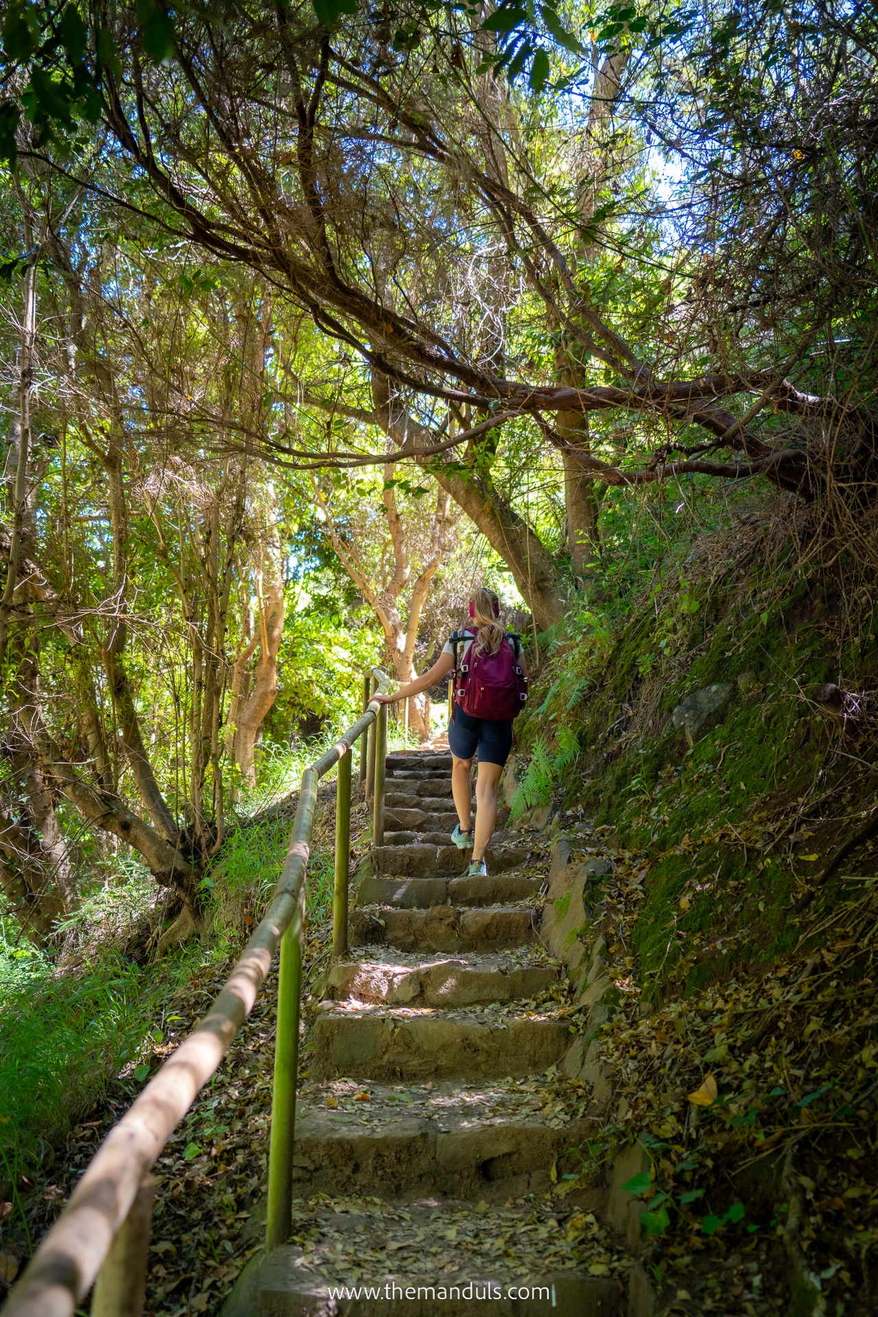 Levada do Moinho and Levada Nova