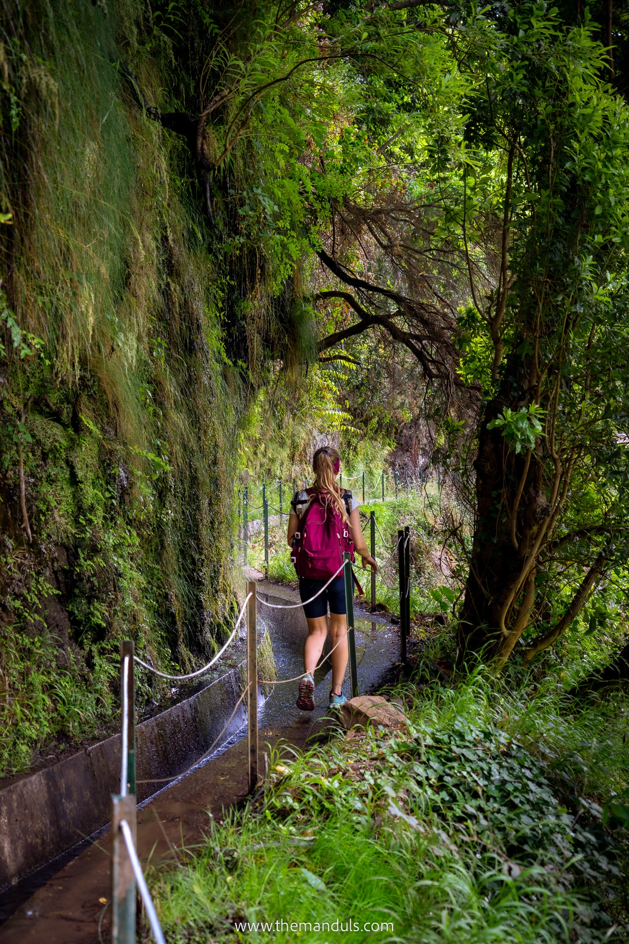 Levada do Moinho and Levada Nova