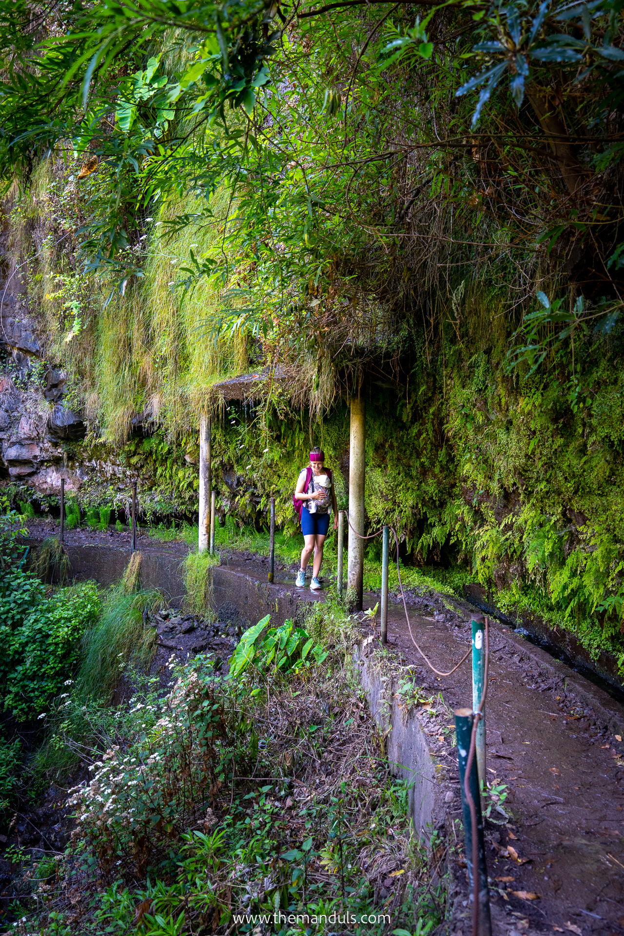 Levada do Moinho and Levada Nova