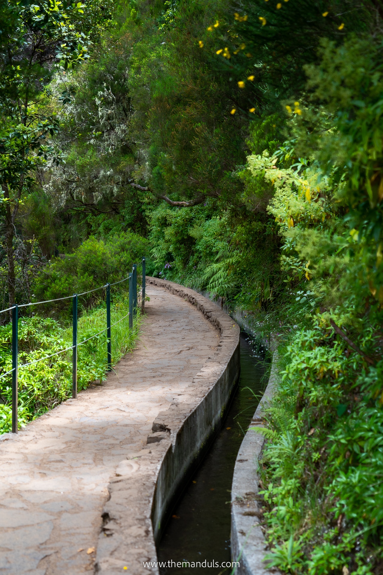 PR 6 Levada das 25 fontes and Risco Waterfall 12