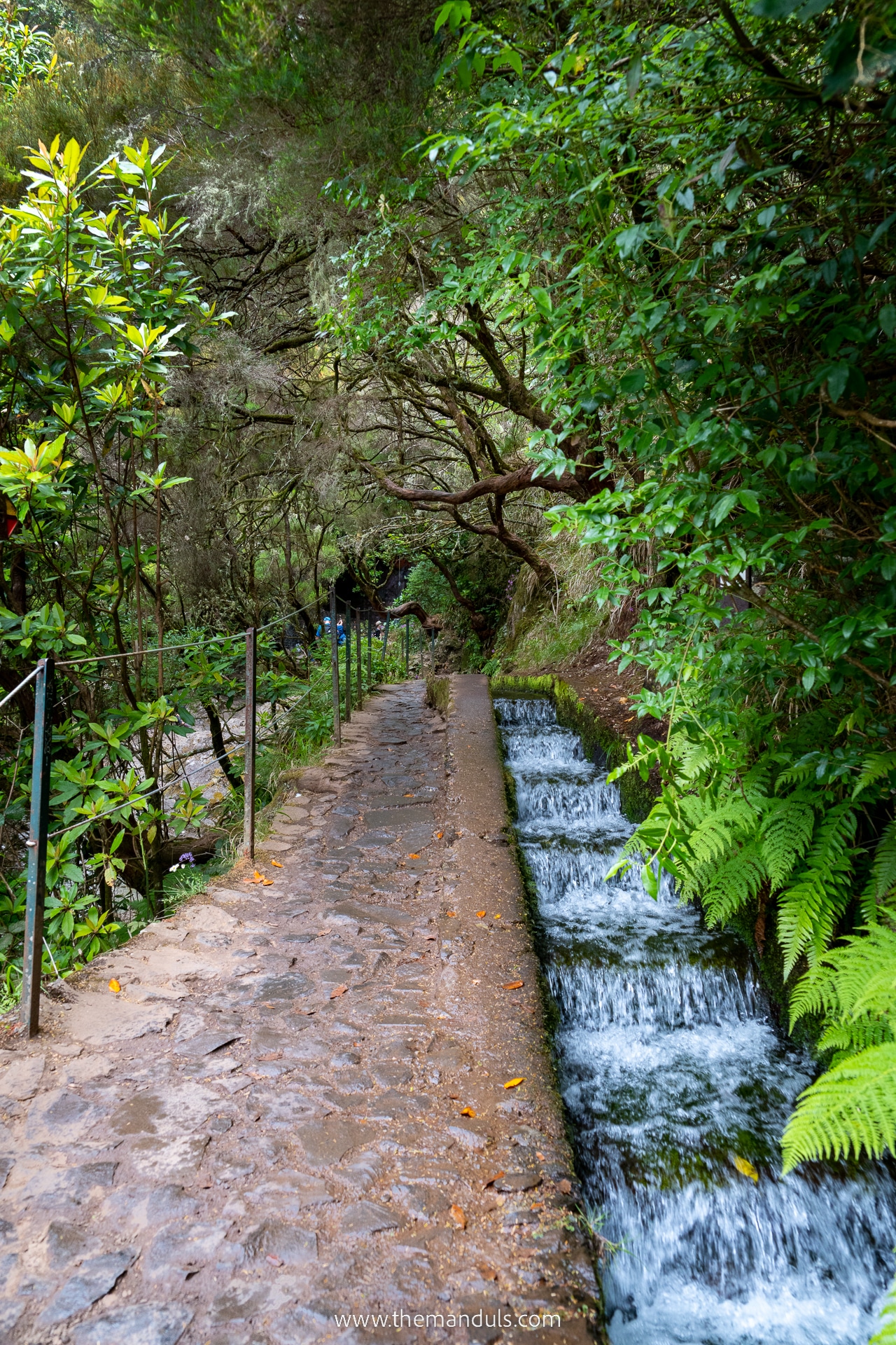 PR 6 Levada das 25 fontes and Risco Waterfall 18