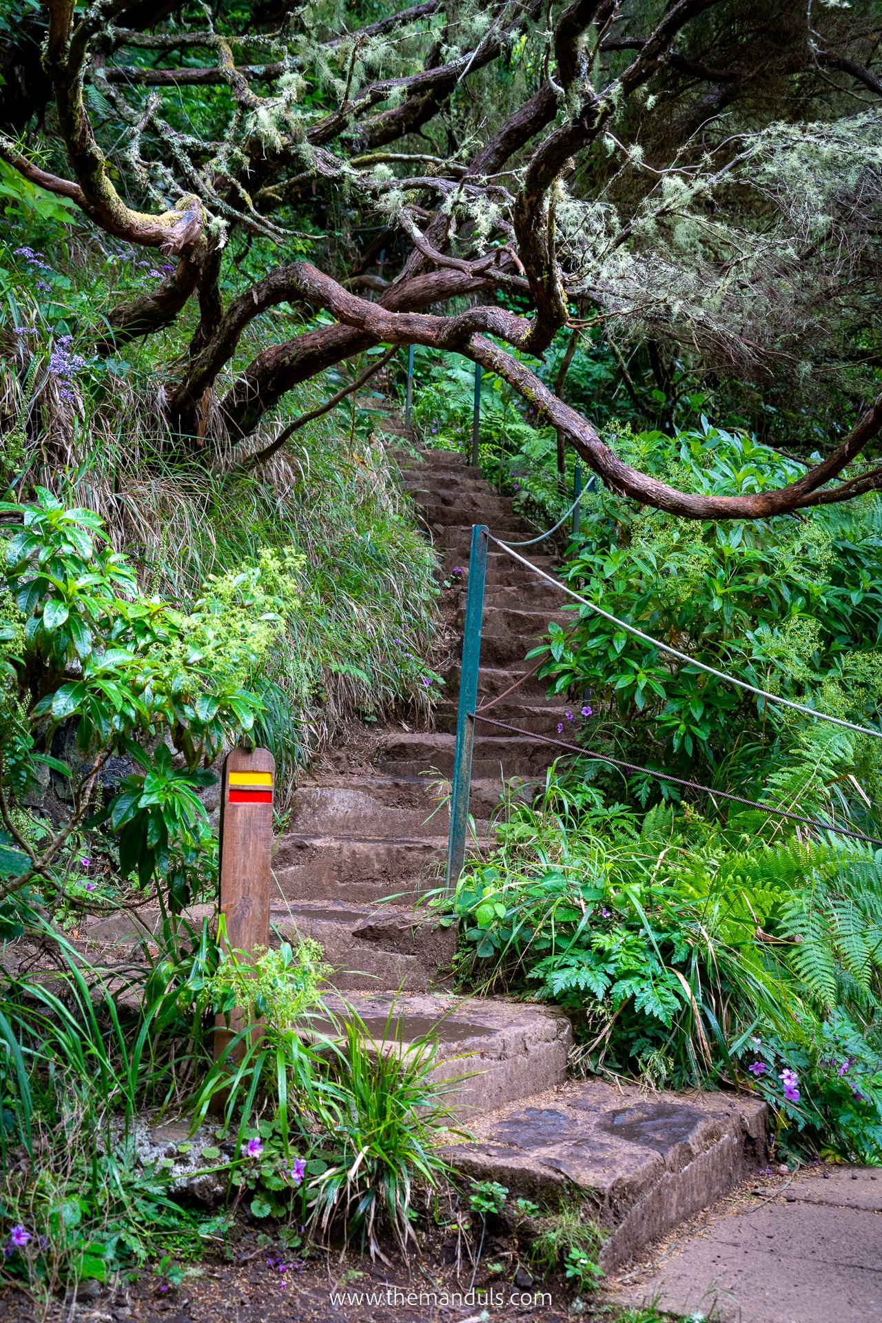PR 6 Levada das 25 fontes and Risco Waterfall 21