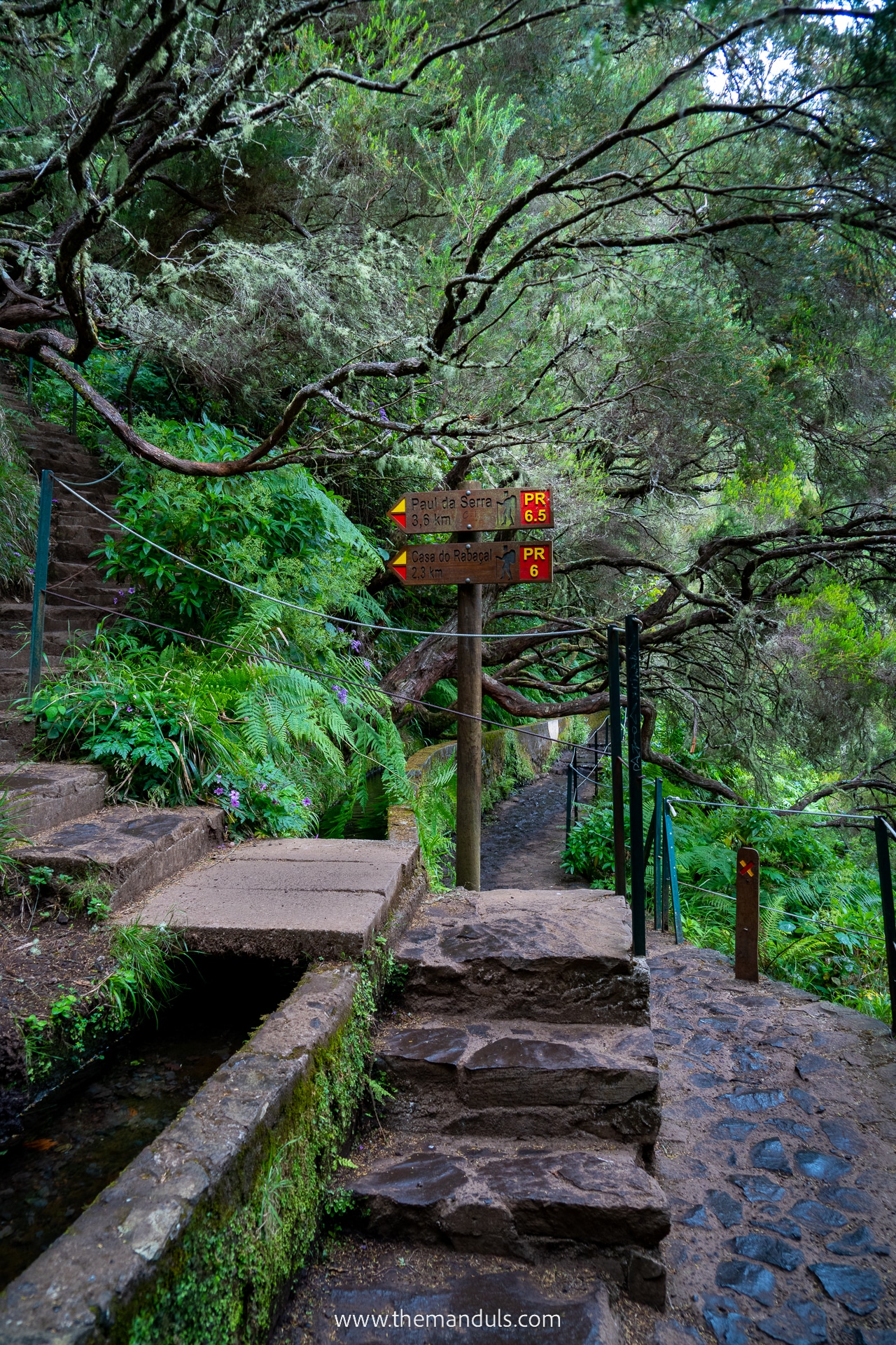 PR 6 Levada das 25 fontes and Risco Waterfall 22