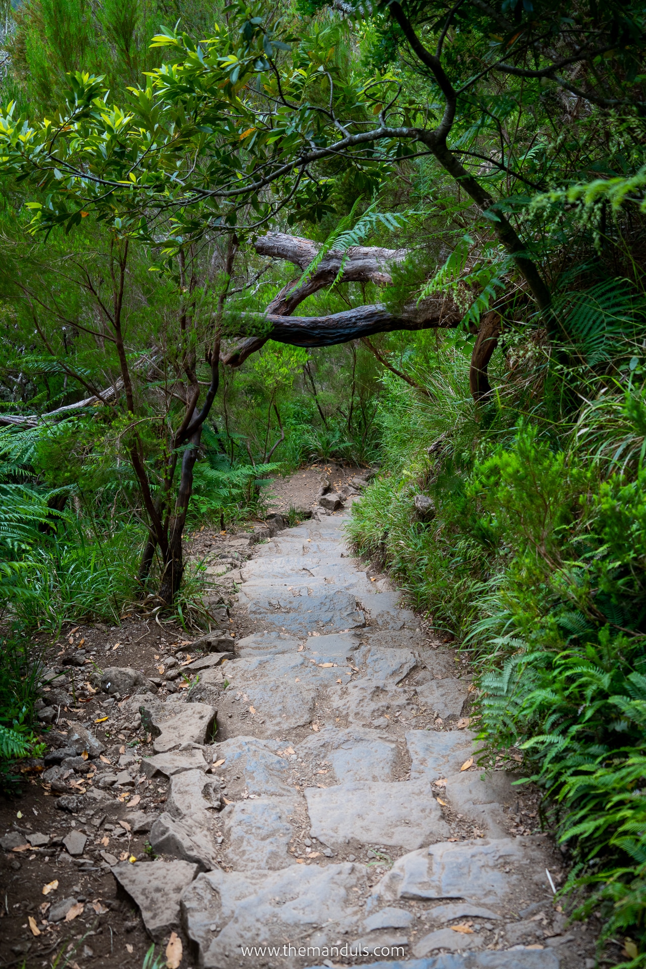 PR 6 Levada das 25 fontes and Risco Waterfall 27