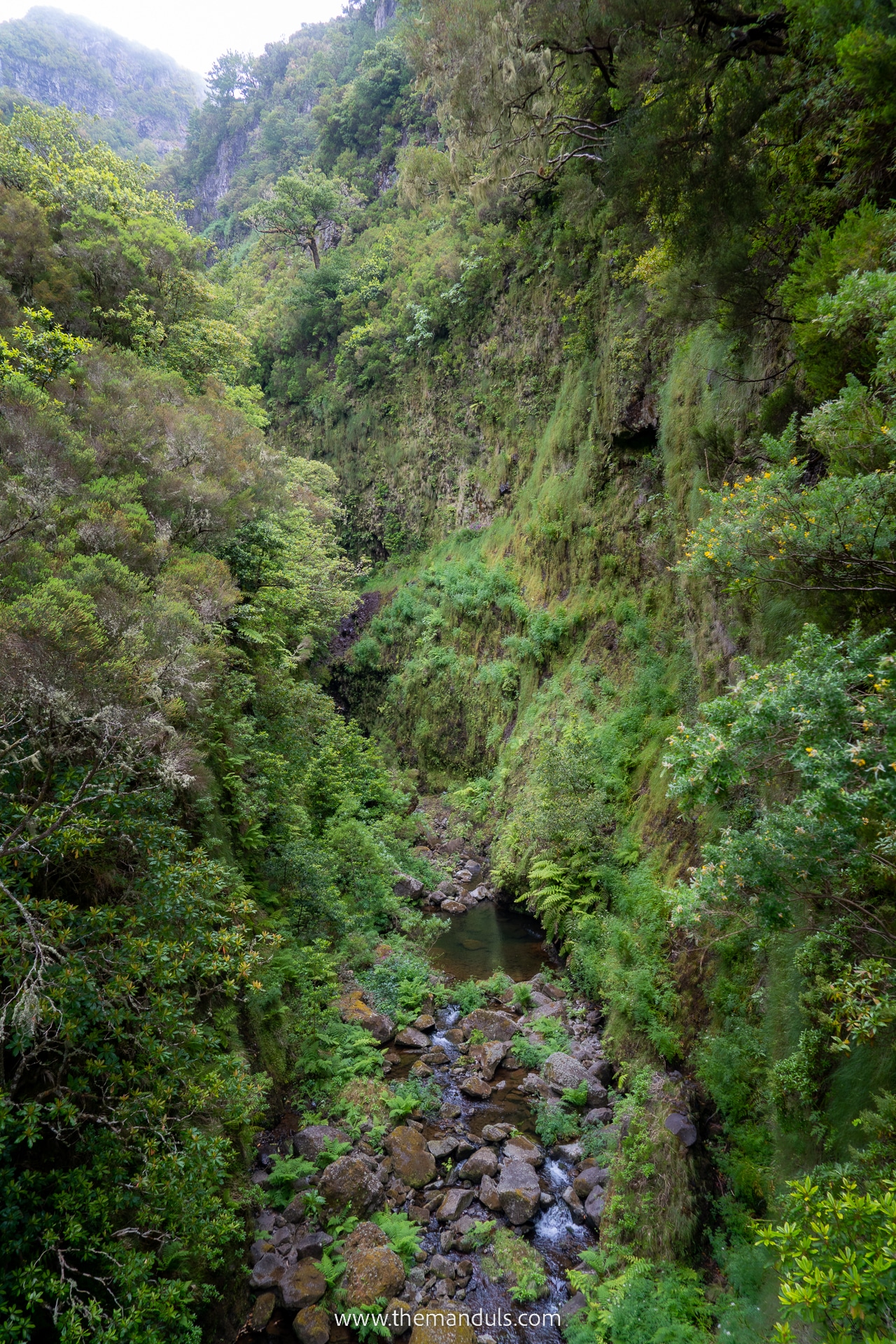 PR 6 Levada das 25 fontes and Risco Waterfall 28