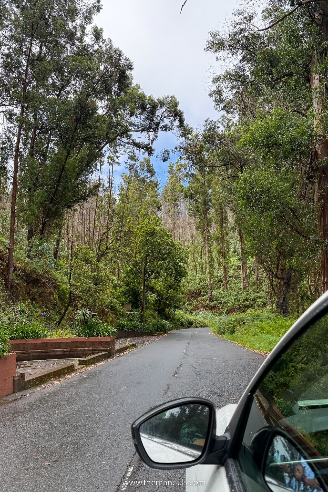 Renting a car in Madeira 1 a rental car driving on a road with trees and bushes in Madeira