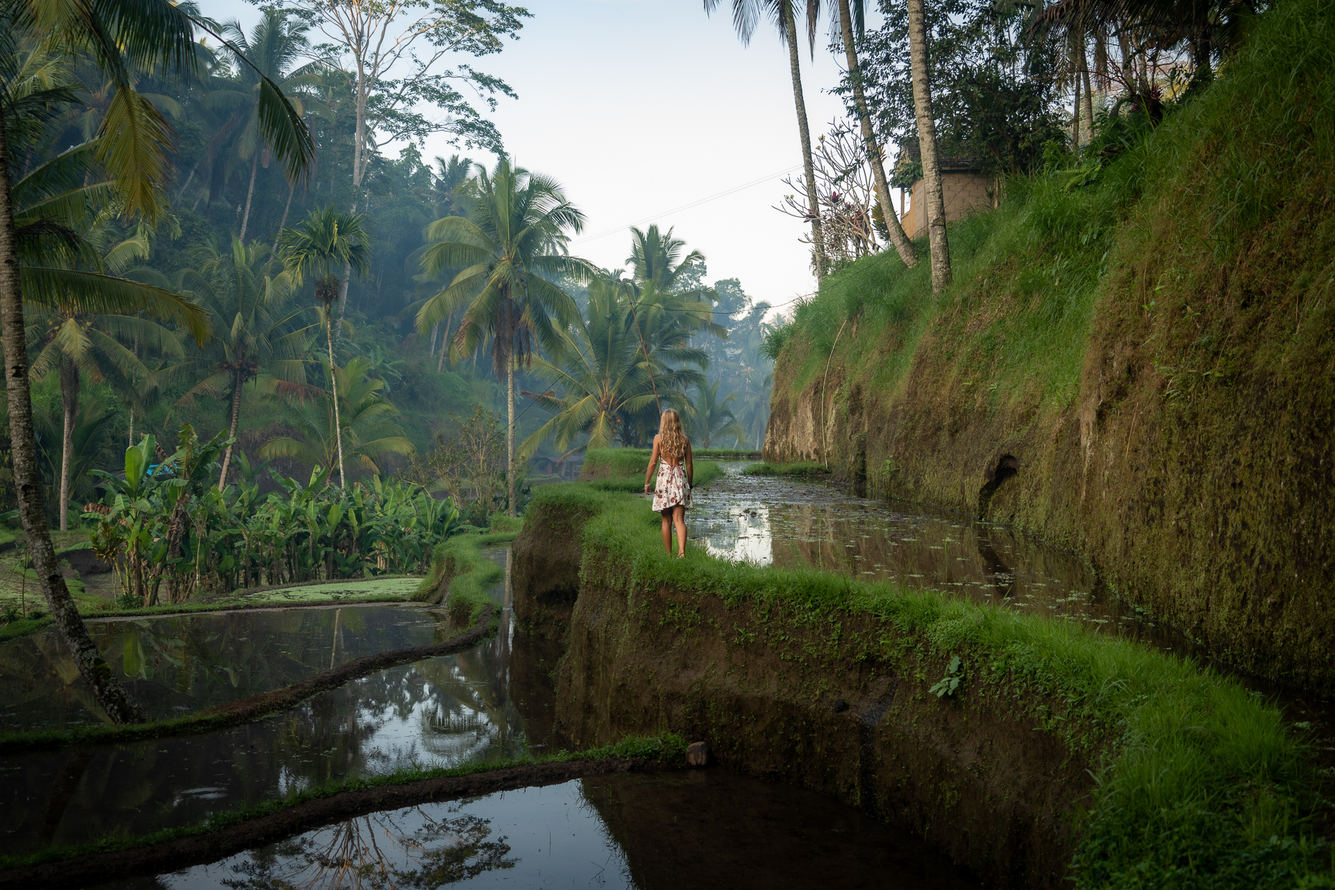 Tegalalang Rice Terrace