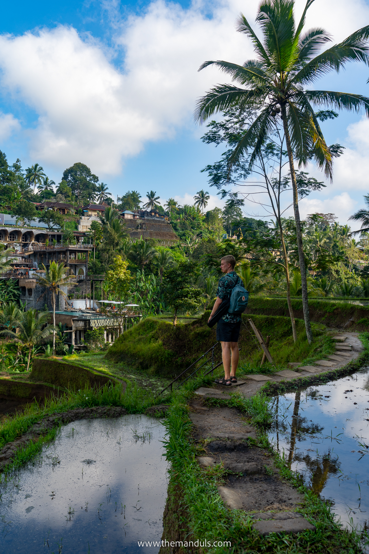 Tegalalang Rice Terrace 3 Tegalalang Rice Terrace