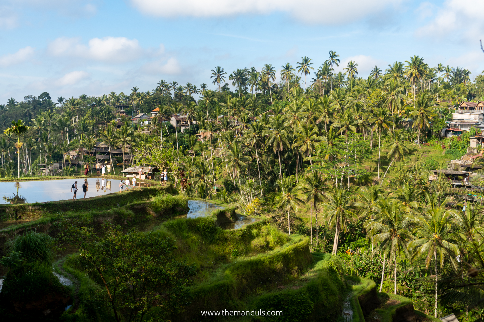 Tegalalang Rice Terrace 6 Tegalalang Rice Terrace