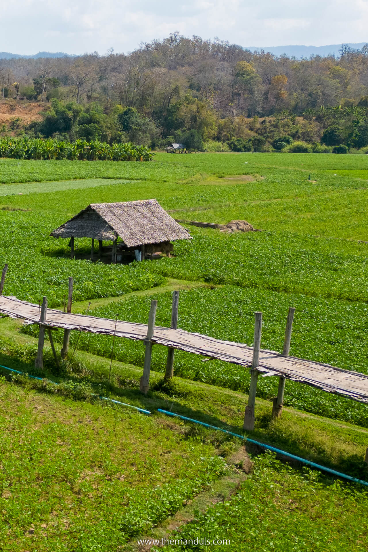 Bamboo Bridge (Boon Ko Ku So Bridge) 1