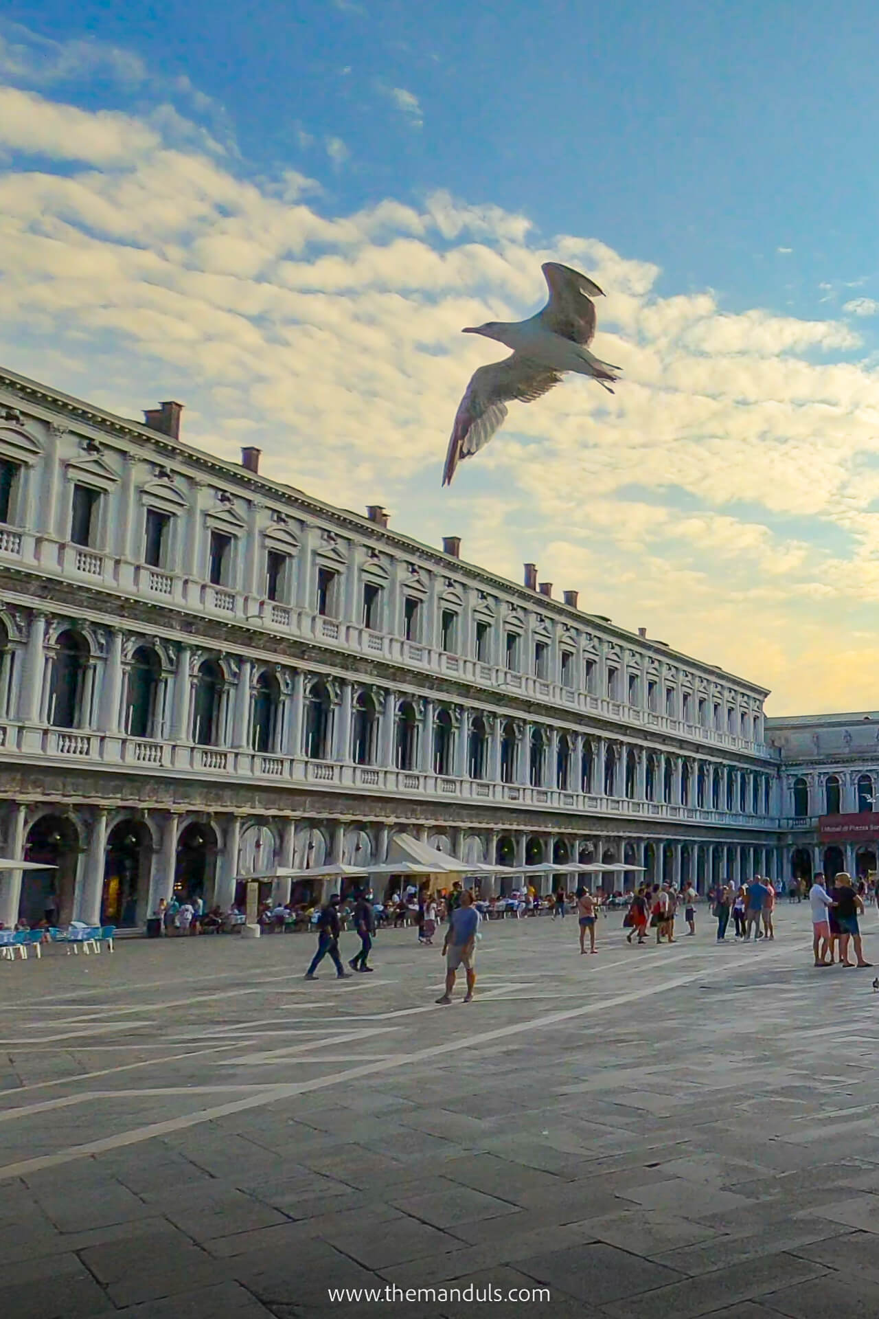 Best Things to do in Venice Italy, St. Mark's Square